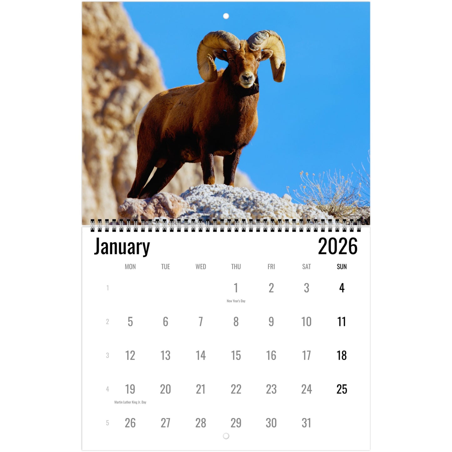 Calendar for January 2026 featuring a ram on a rocky landscape.