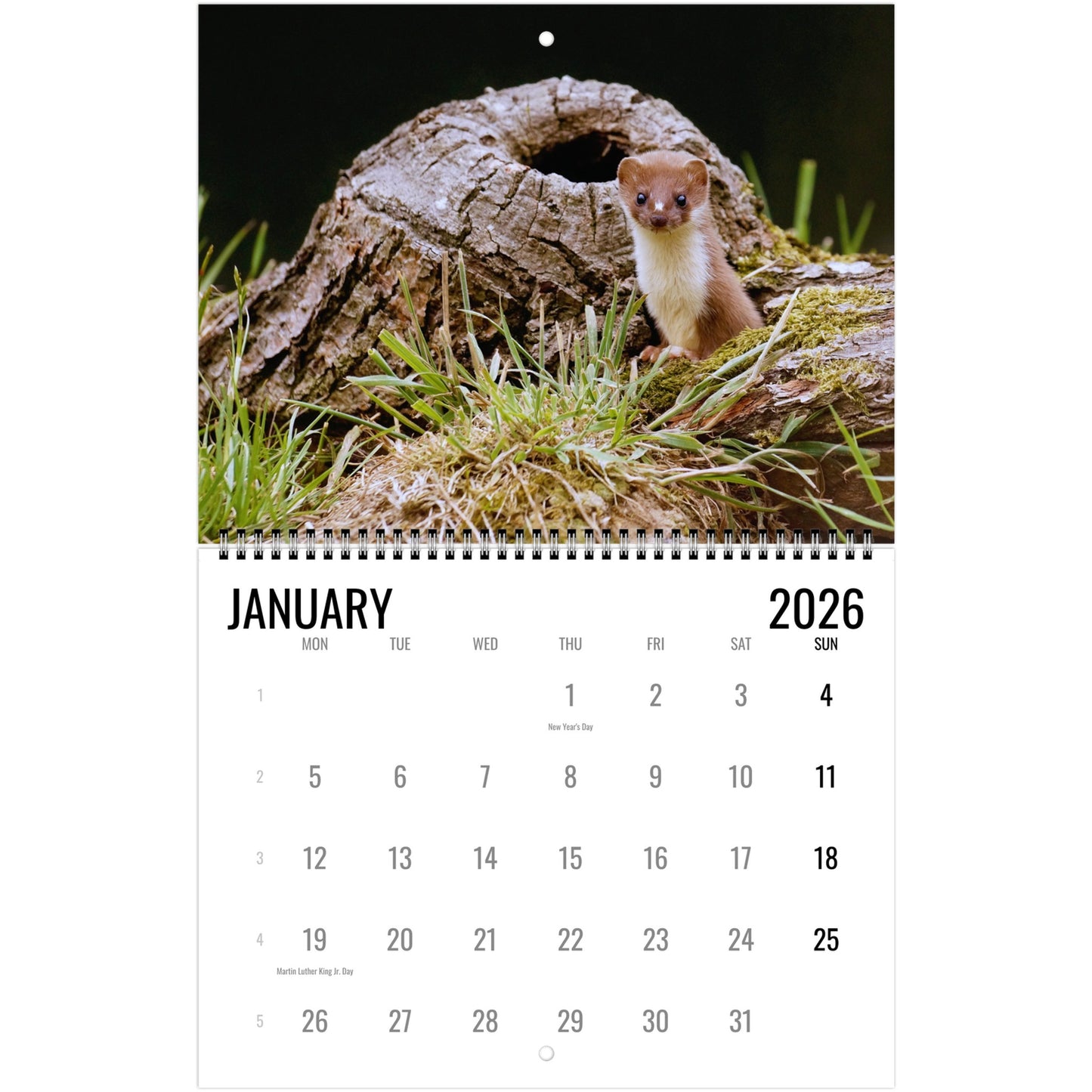 Calendar for January 2026 featuring a weasel on a log.