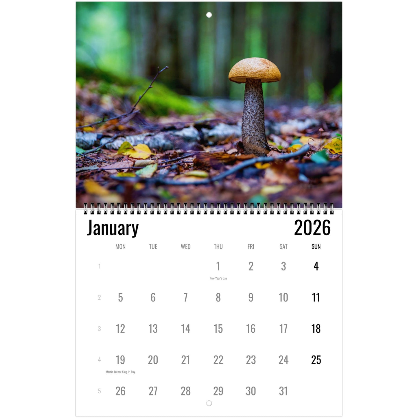 Calendar for January 2026 with a mushroom on a forest floor cover
