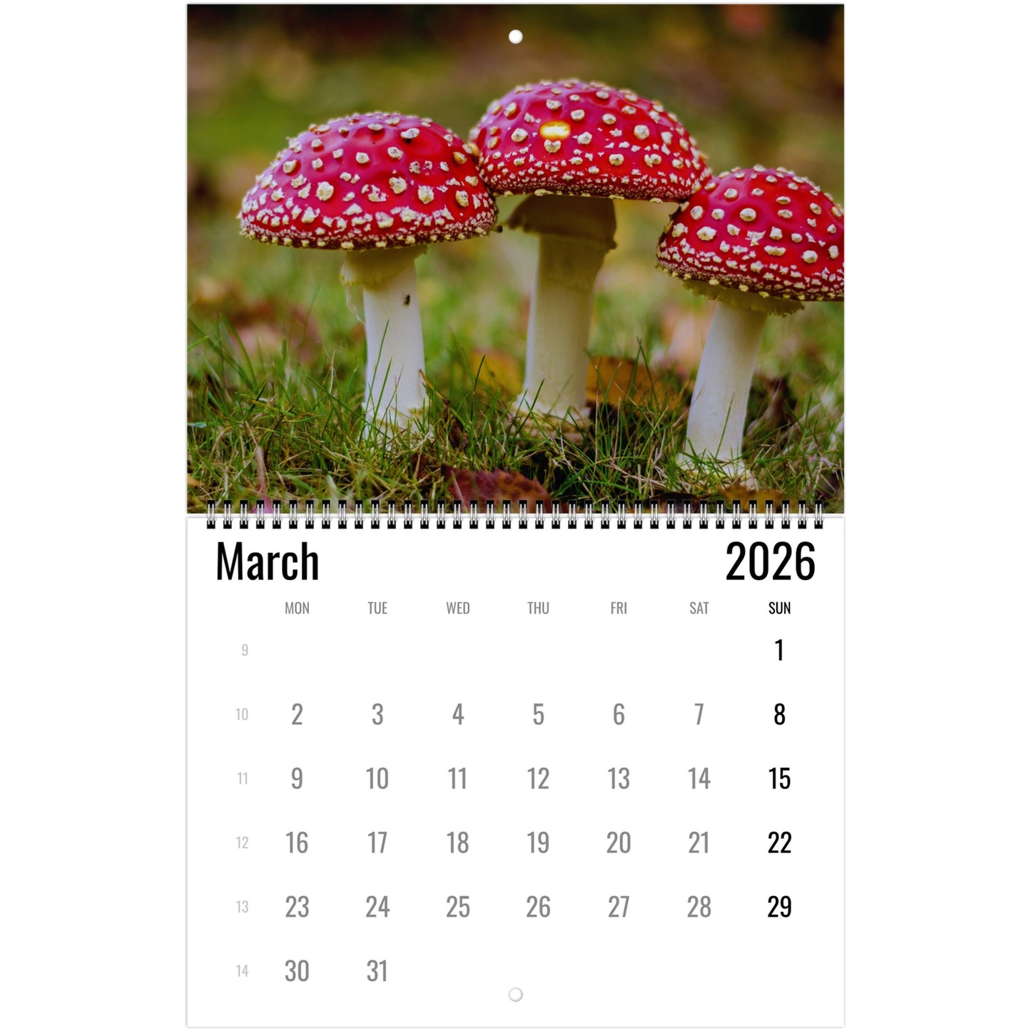 Calendar for March 2026 with red and white mushrooms on a grassy background