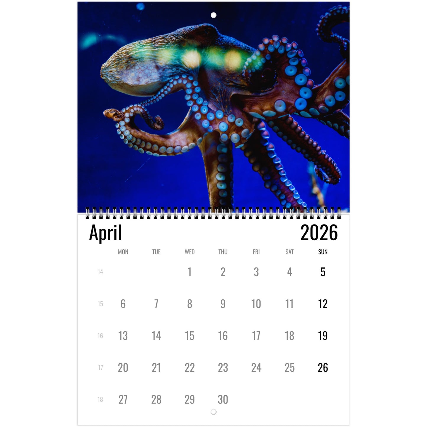 Calendar page for April 2026 with a colorful octopus illustration on a blue background.