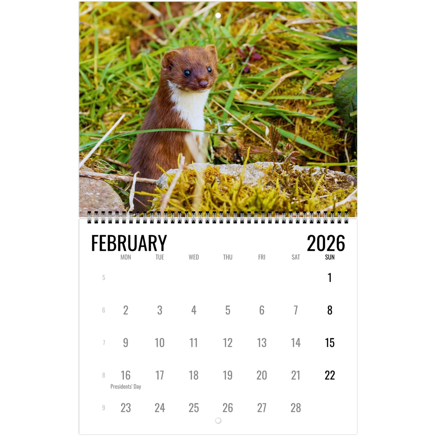 Calendar page for February 2026 featuring a weasel in a natural setting.