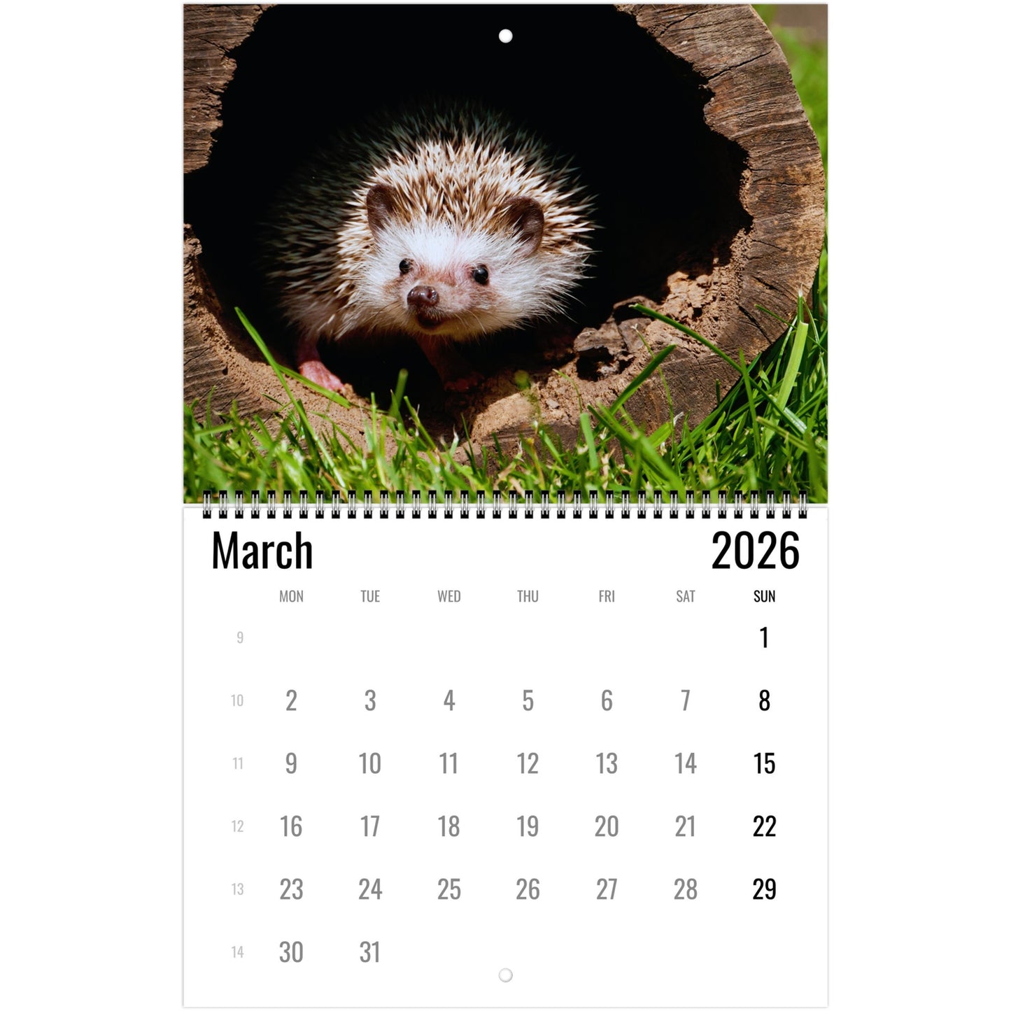 Calendar page for March 2026 featuring a hedgehog peeking out from a wooden log.
