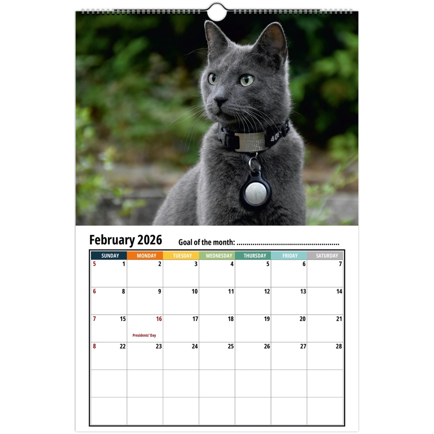 Calendar with a russian blue cat on a white background