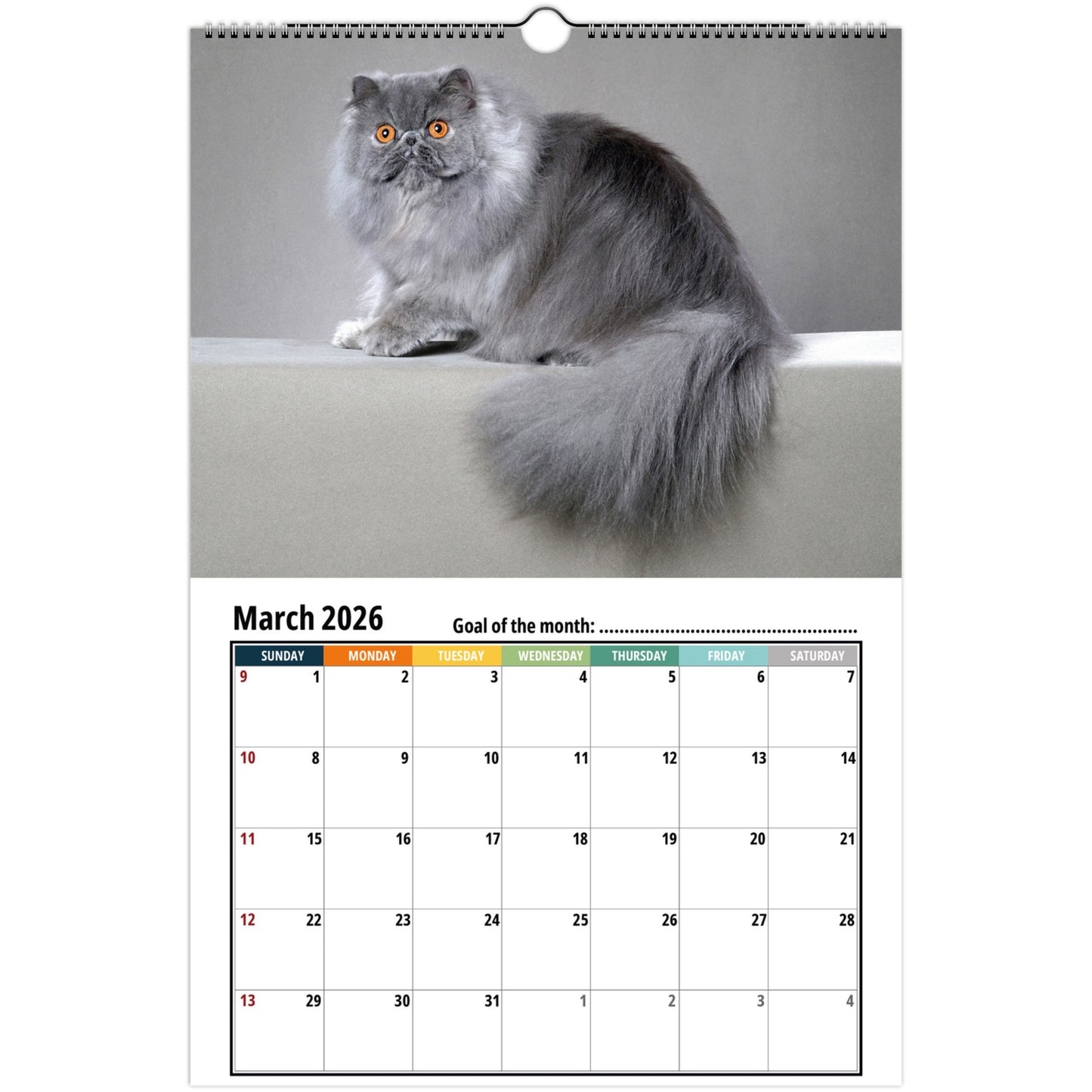 Calendar with a Persian cat on a gray background