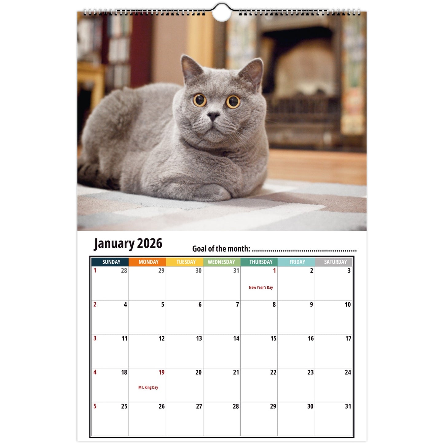 Calendar with a Russian blue cat on a white background