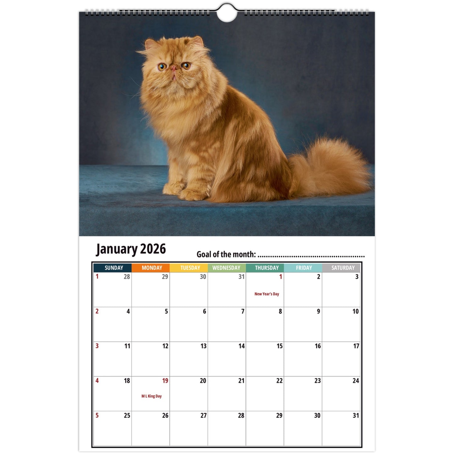 Calendar with a Persian cat on a blue background, featuring January 2026.