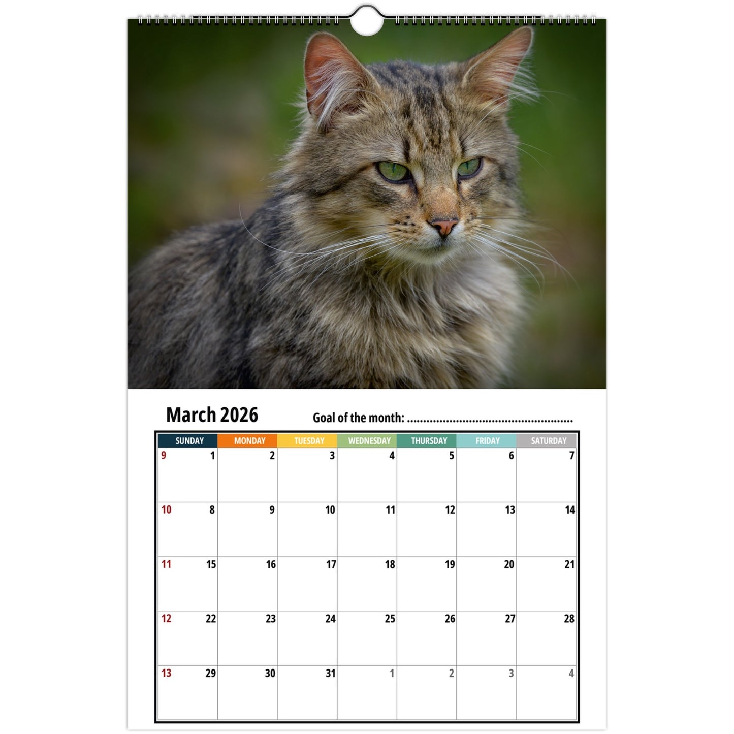 Calendar with a cat's face on a white background