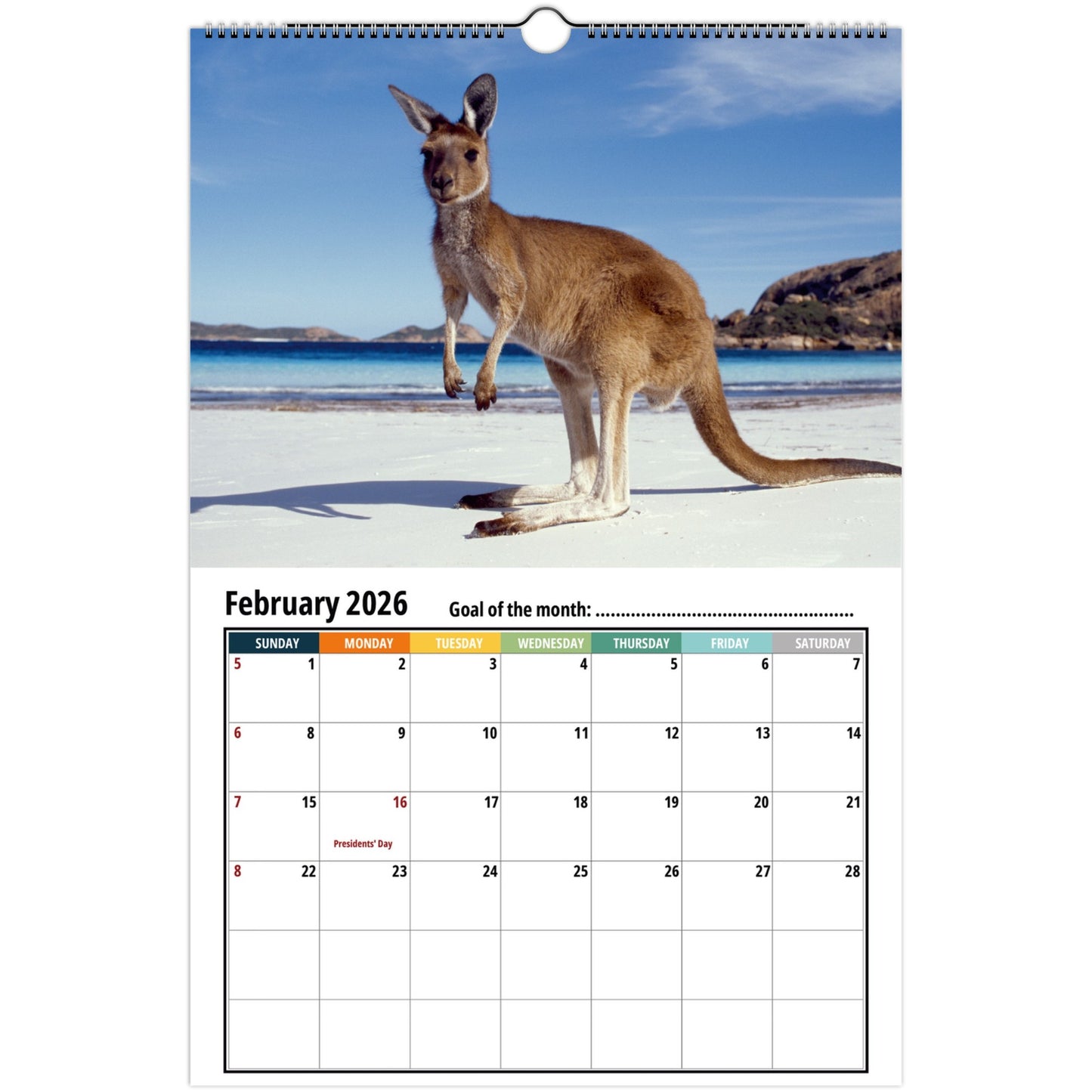 Calendar with a kangaroo on a beach for February 2026