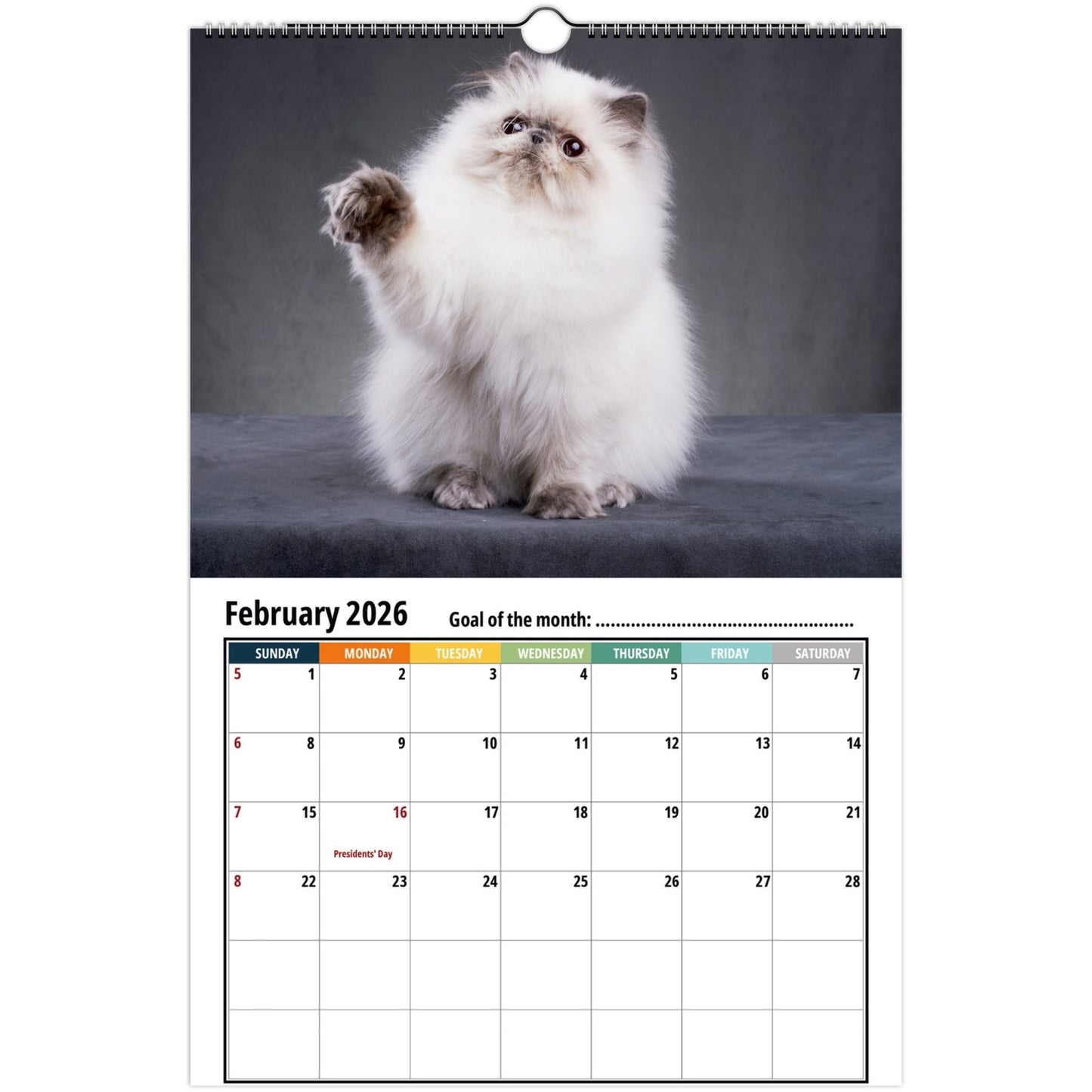 Calendar with a persian cat on a gray background, featuring February 2026.
