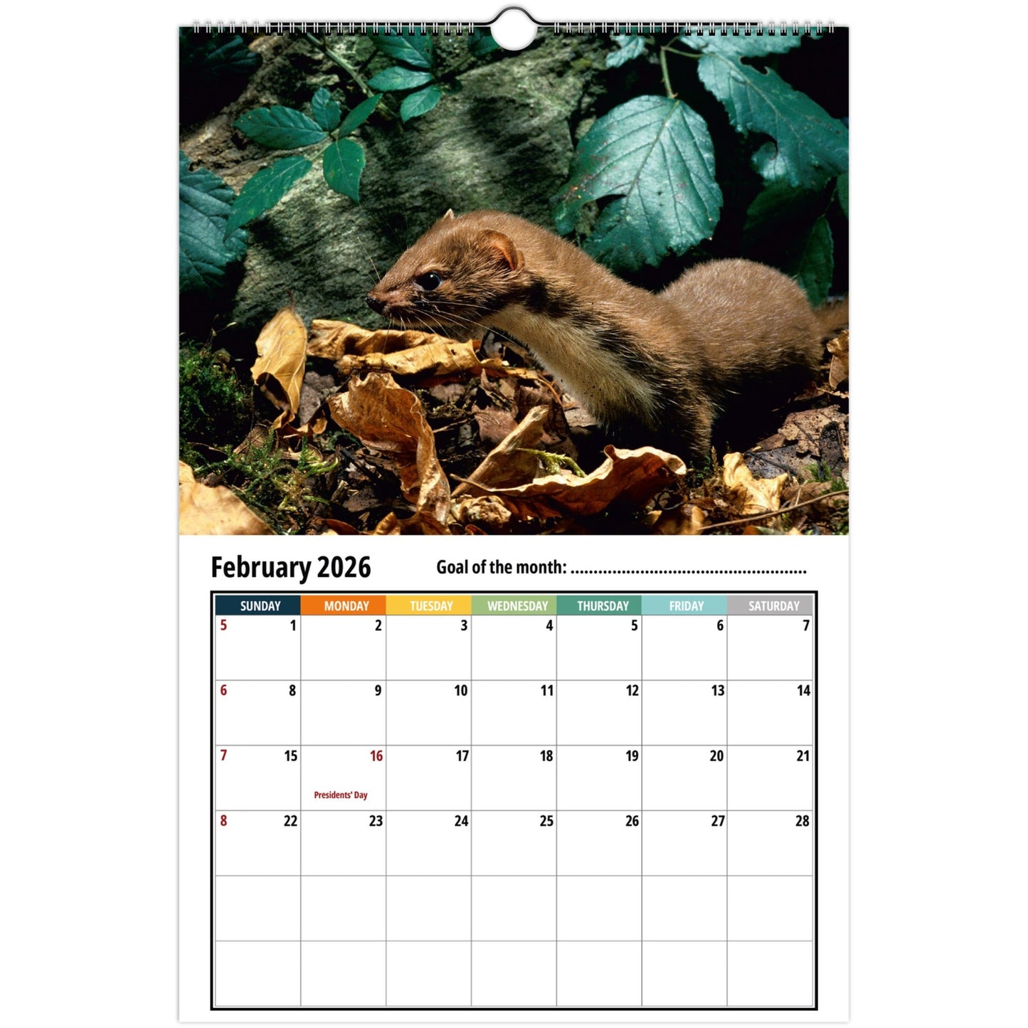 Calendar with a weasel on a leafy background, showing February 2026.