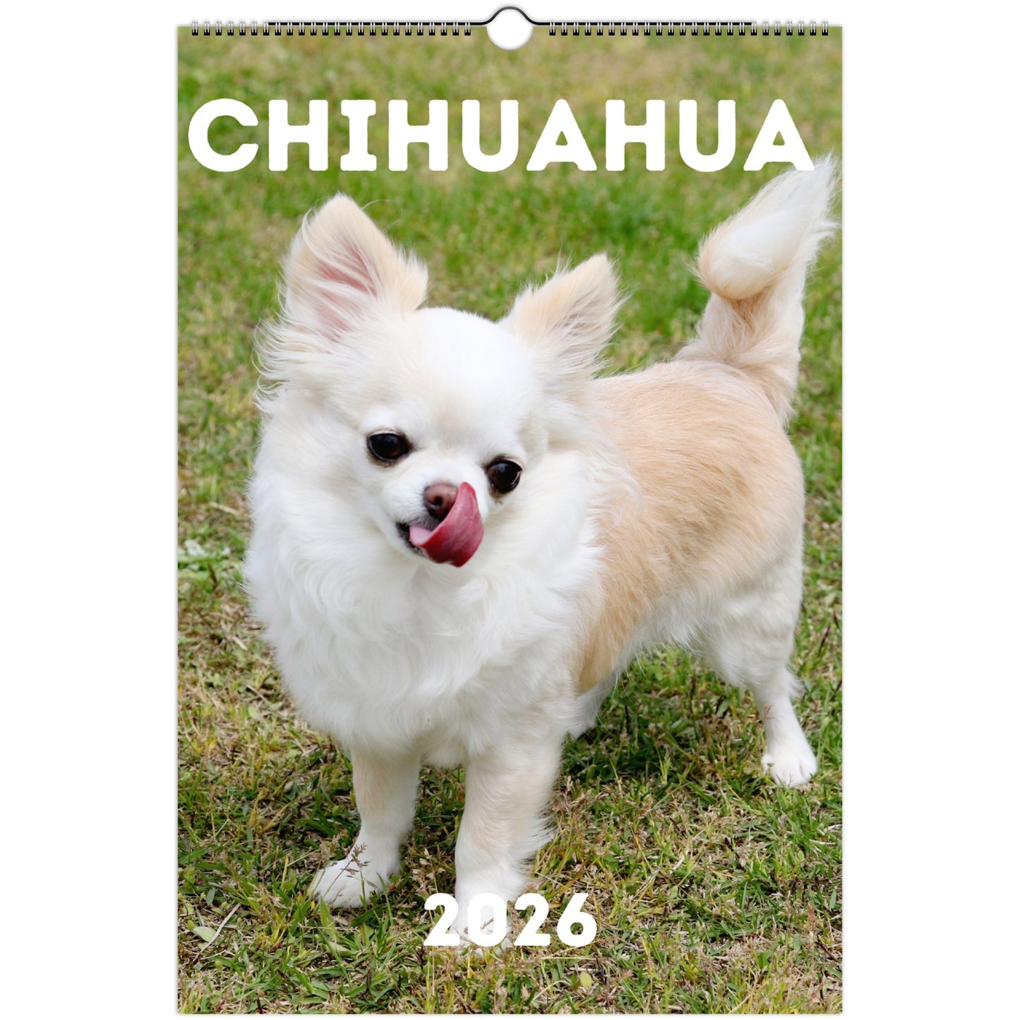 Chihuahua Wall Calendar 2026 Default Title