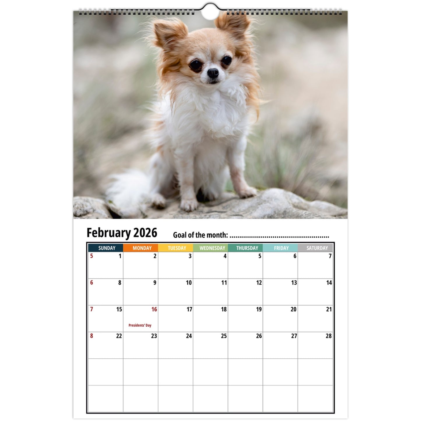 Chihuahua Wall Calendar 2026