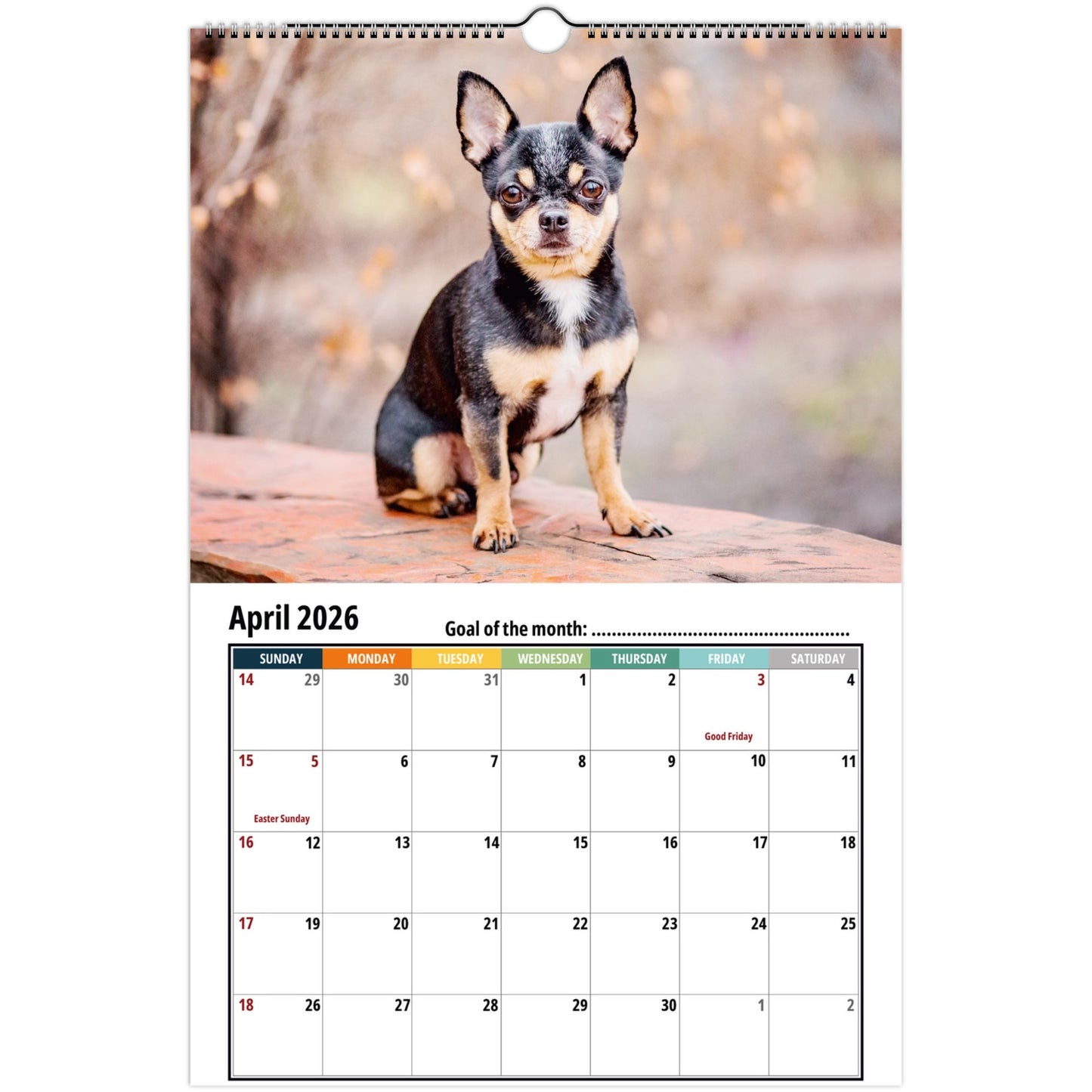 Chihuahua Wall Calendar 2026