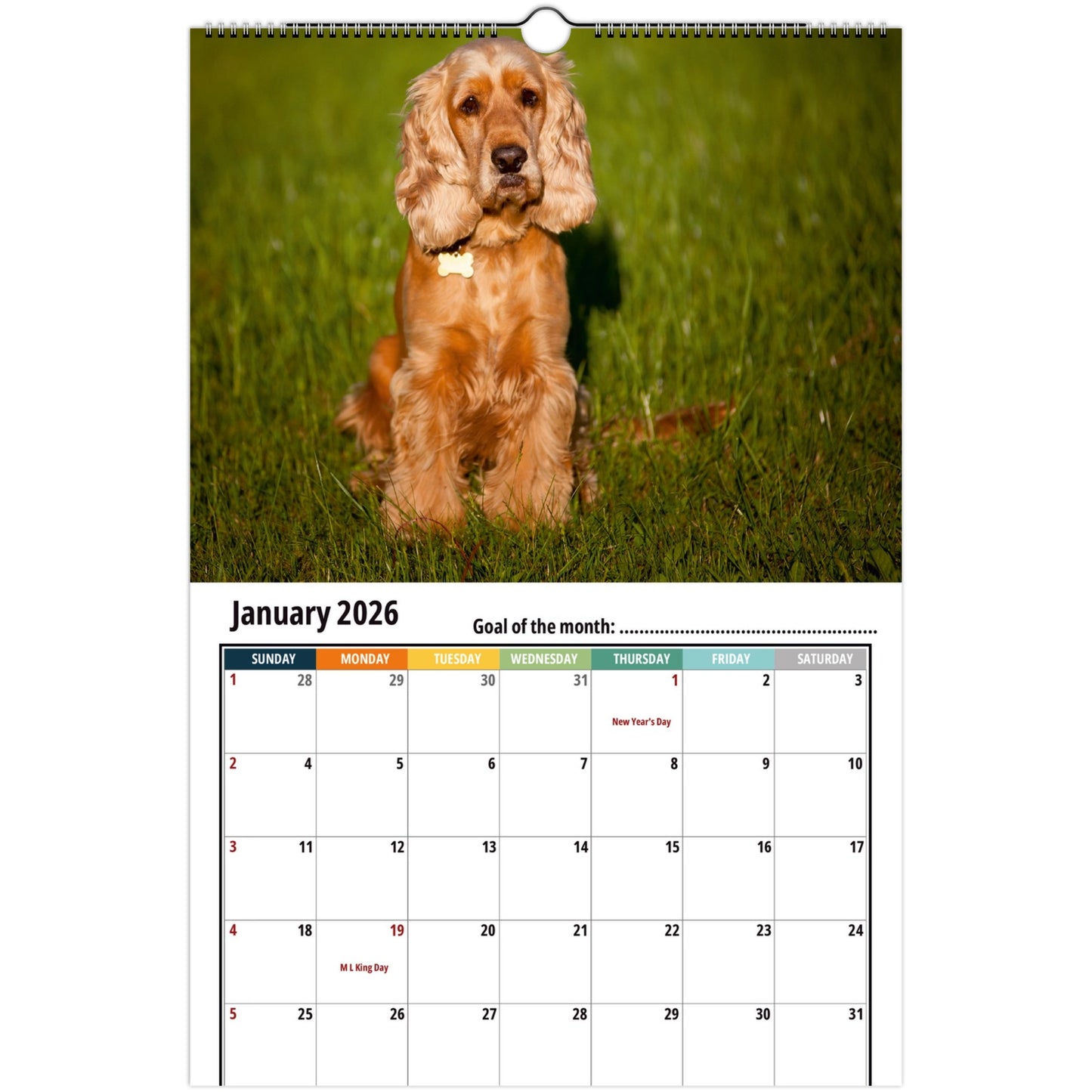 Cocker Spaniel Wall Calendar 2026 1
