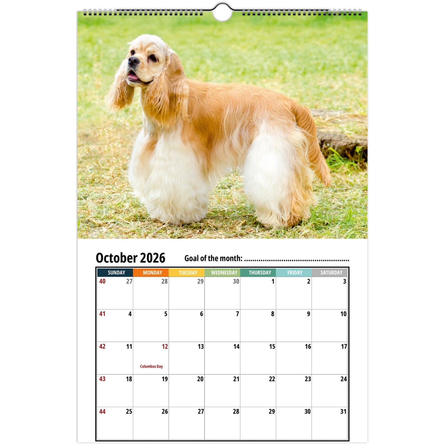 Cocker Spaniel Wall Calendar 2026 2
