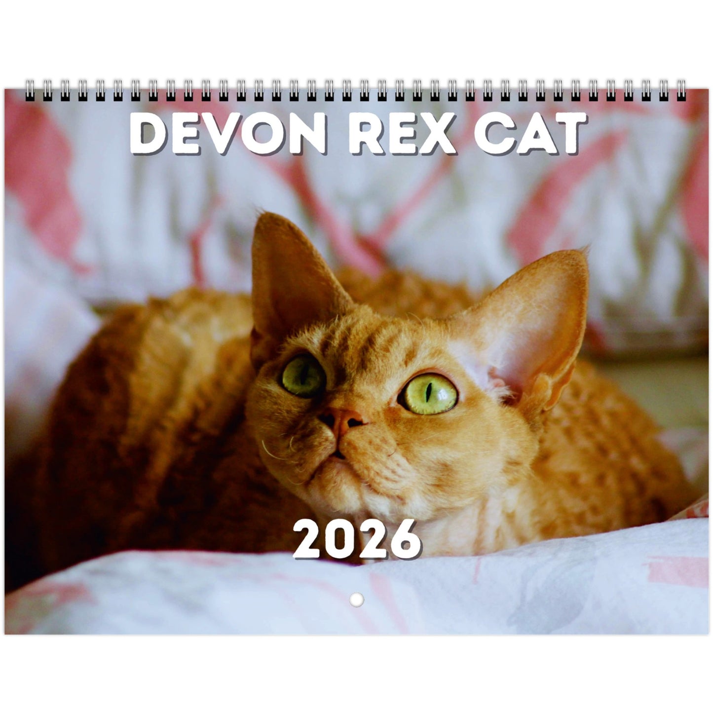 Devon Rex Cat Wall Calendar 2026