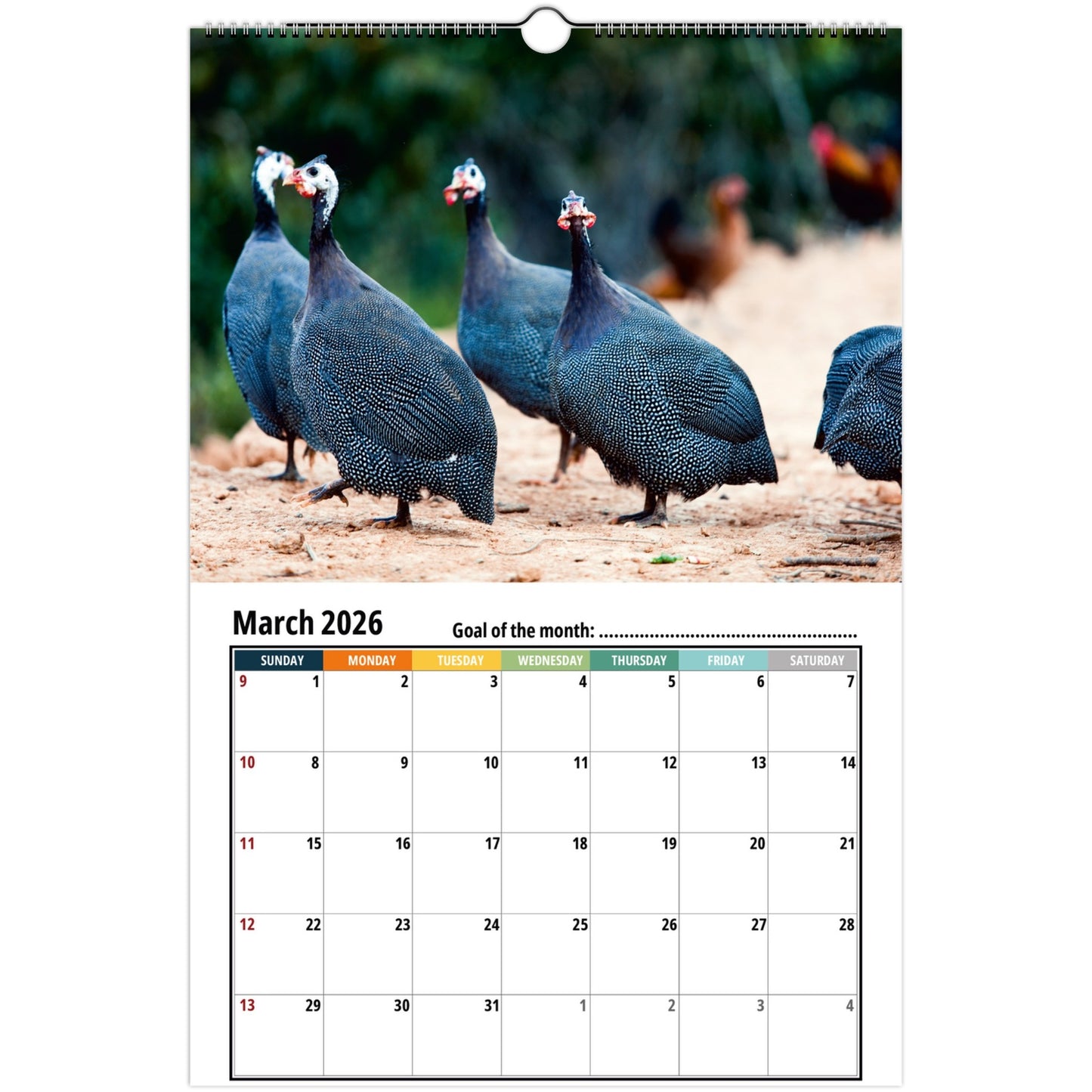 Fowl Wall Calendar 2026 1