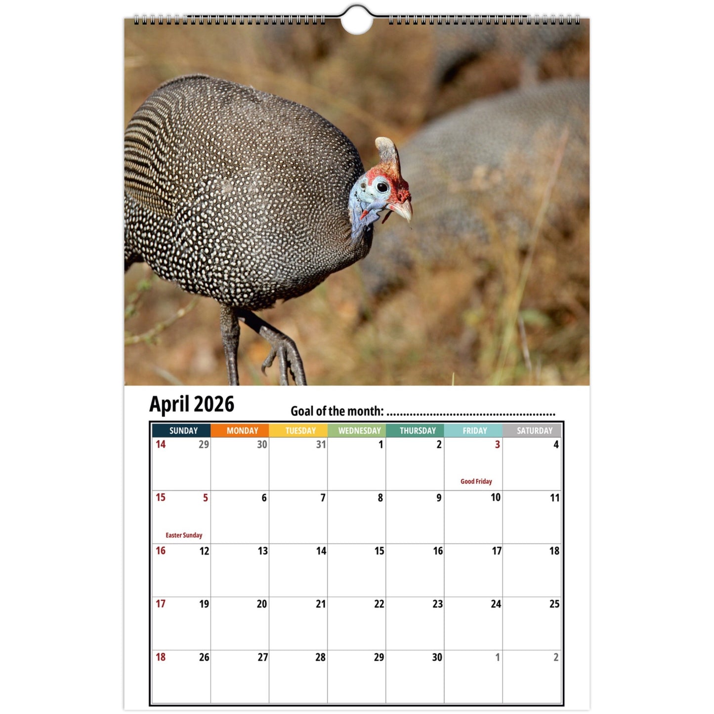 Fowl Wall Calendar 2026 2