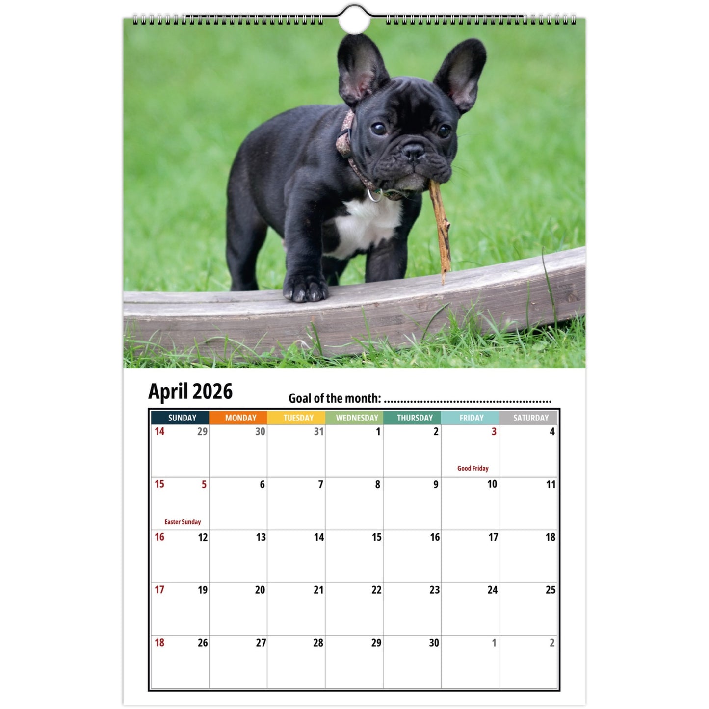 French Bulldog Calendar 2026