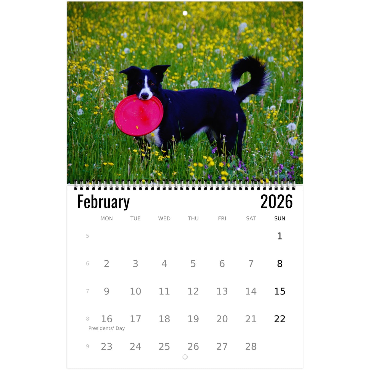 Frisbee Wall Calendar 2026