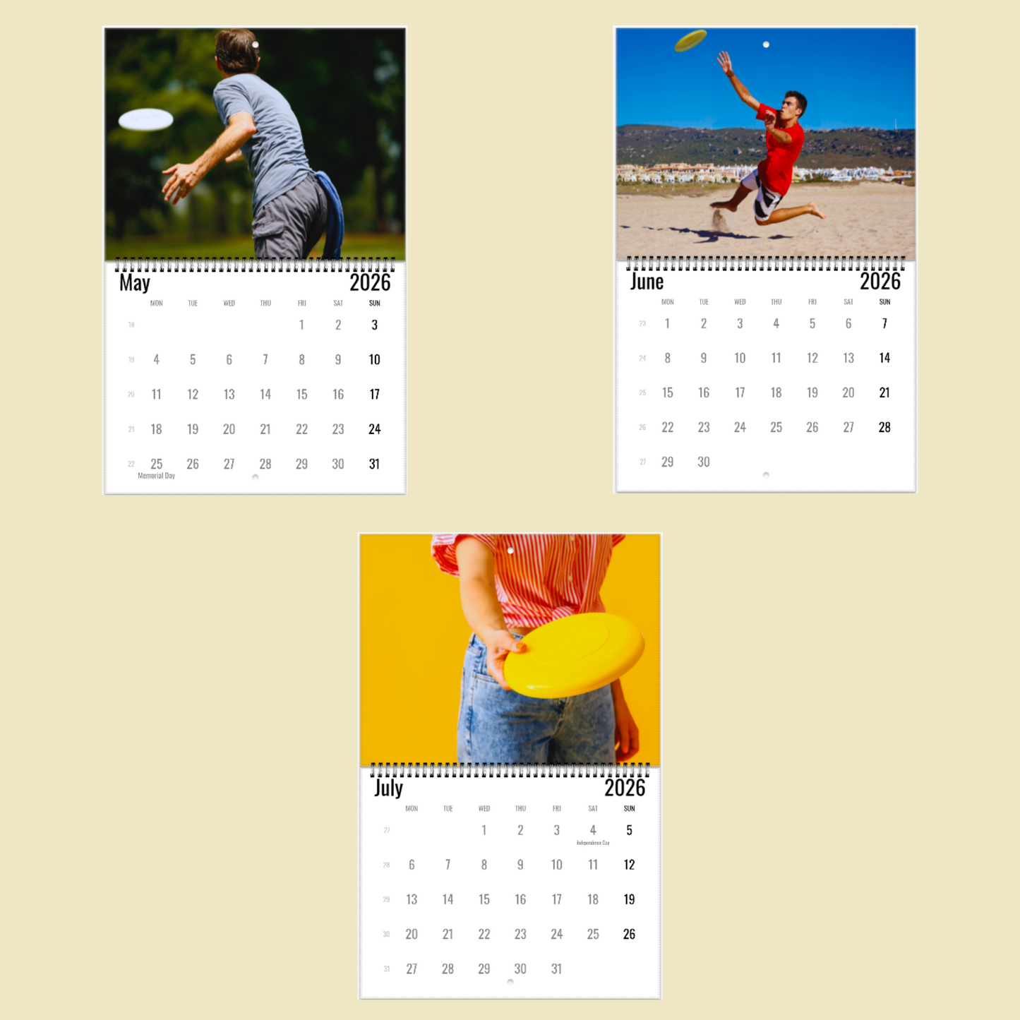 Frisbee Wall Calendar 2026
