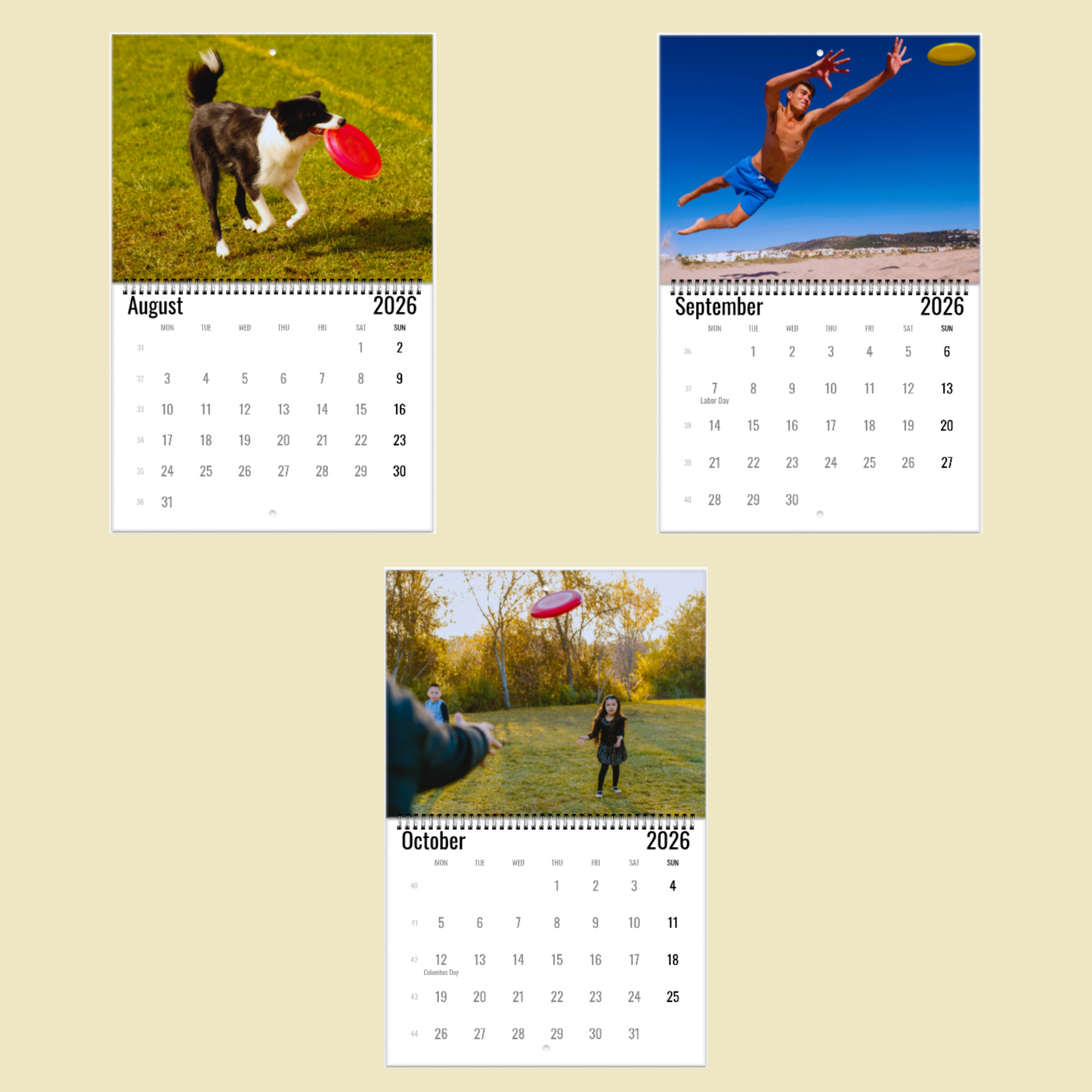 Frisbee Wall Calendar 2026