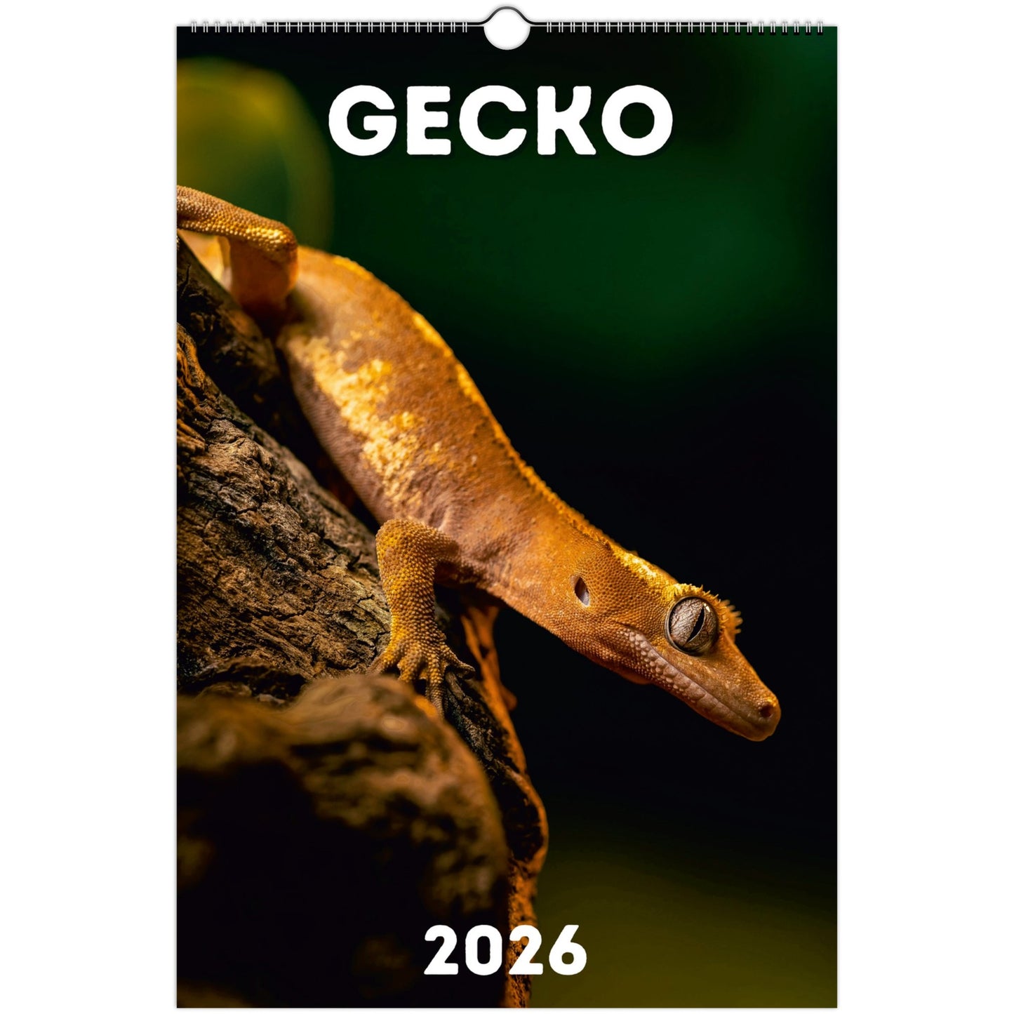 Gecko Wall Calendar 2026