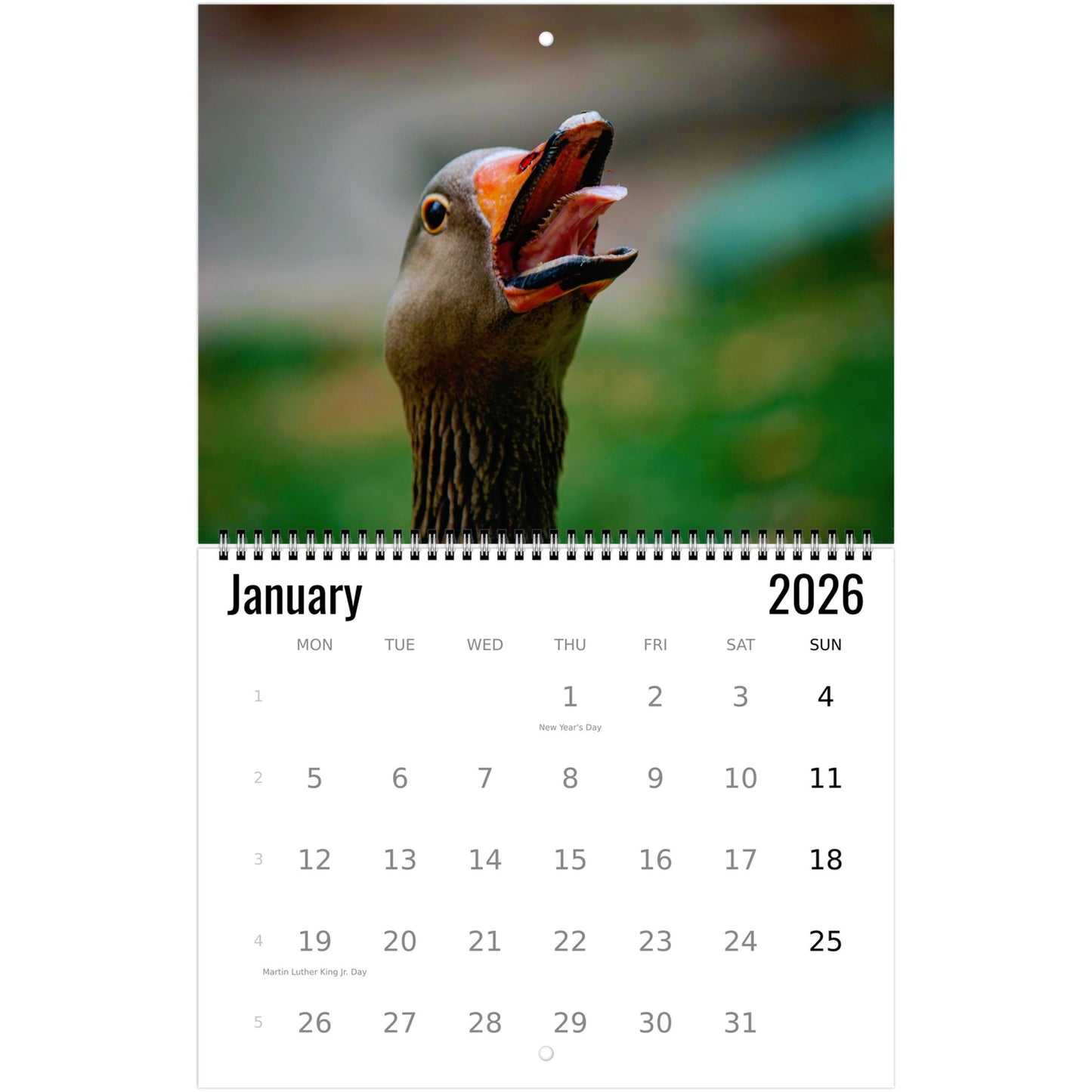 Goose Wall Calendar 2026