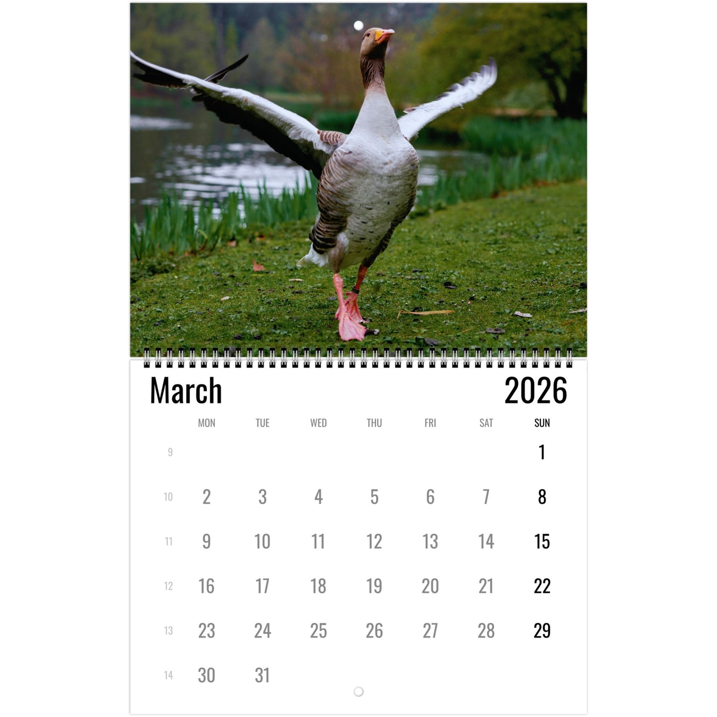 Goose Wall Calendar 2026
