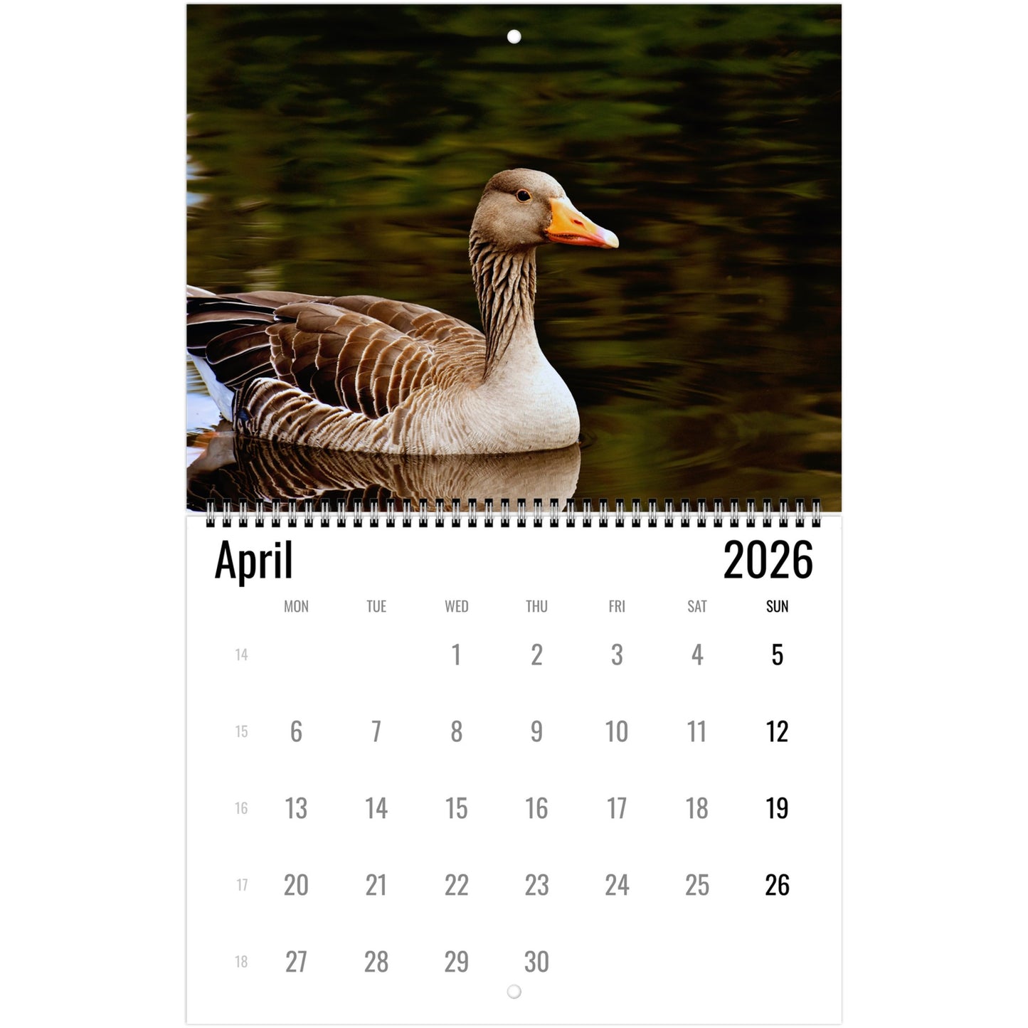 Goose Wall Calendar 2026