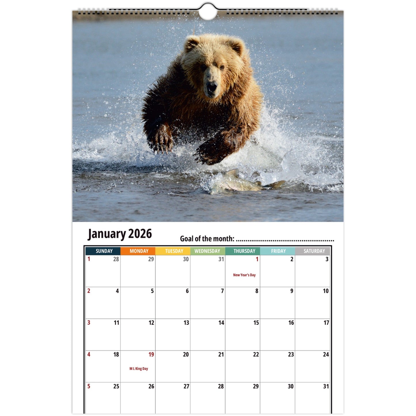 Grizzly Bear Wall Calendar 2026 1