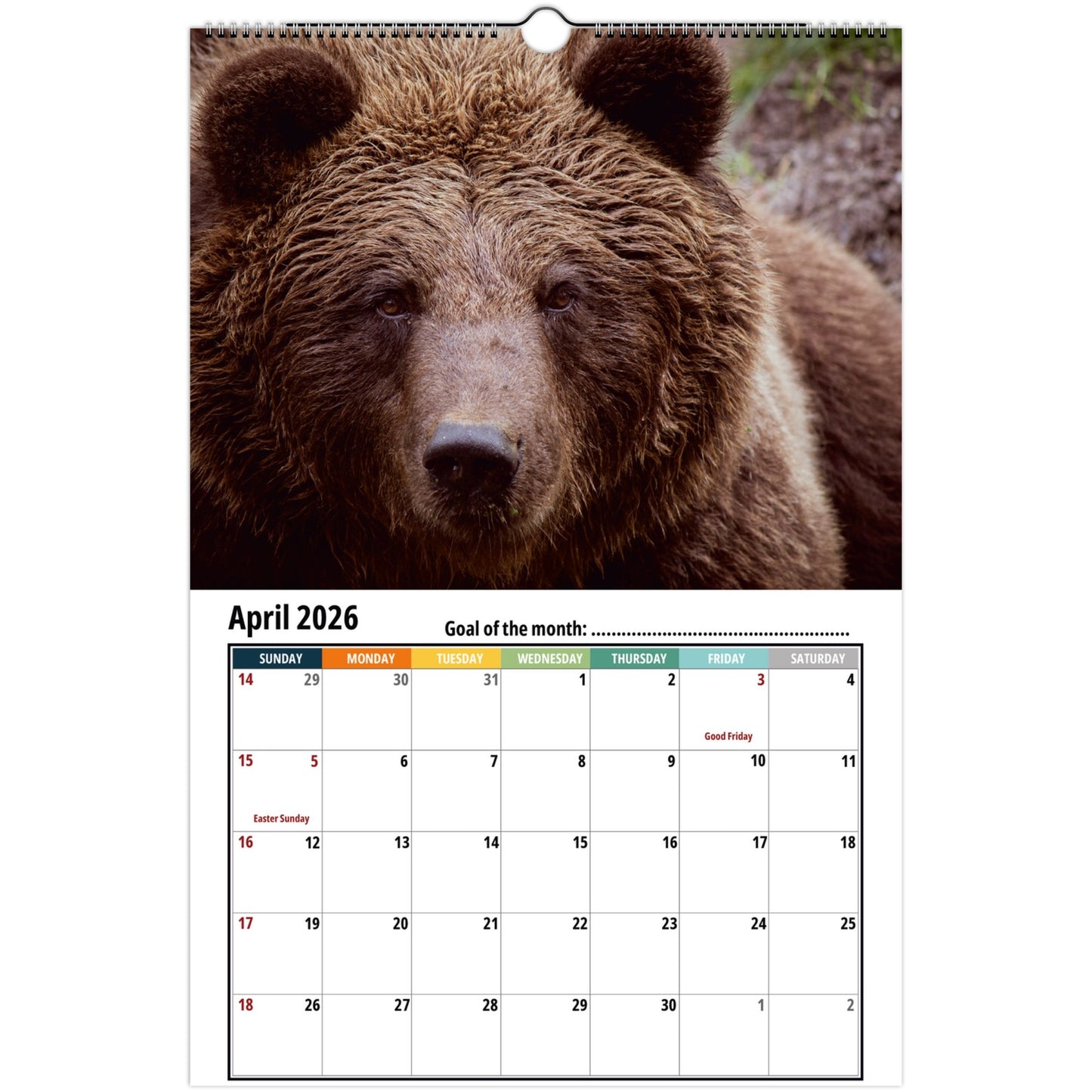 Grizzly Bear Wall Calendar 2026 2