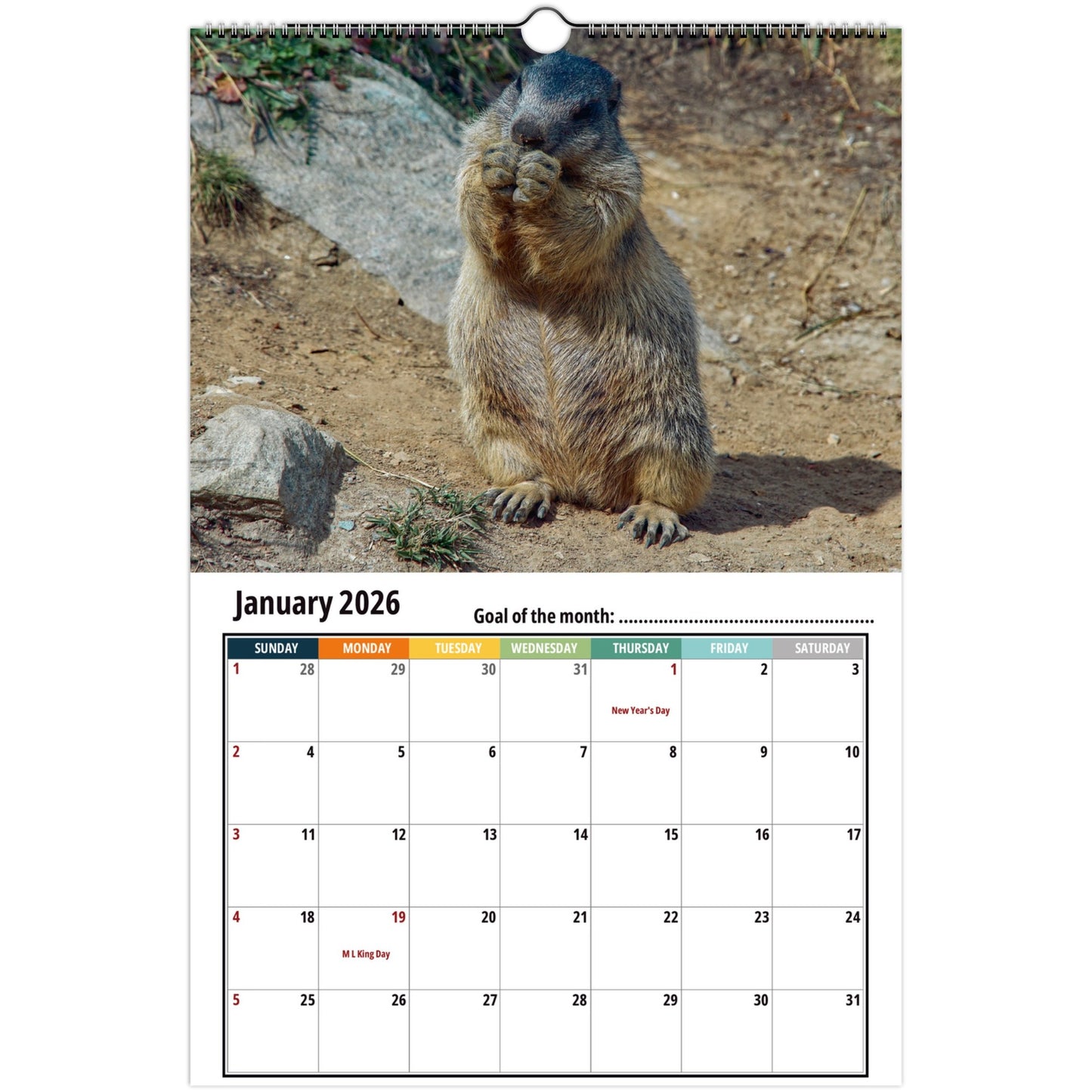 Groundhog Wall Calendar 2026