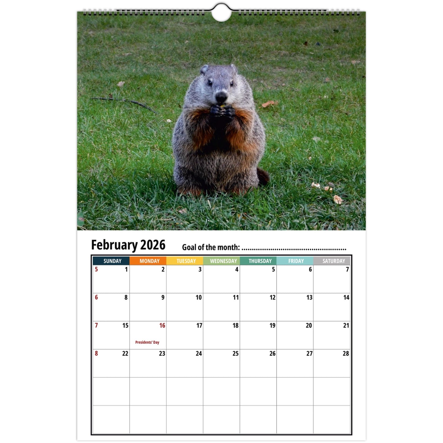 Groundhog Wall Calendar 2026