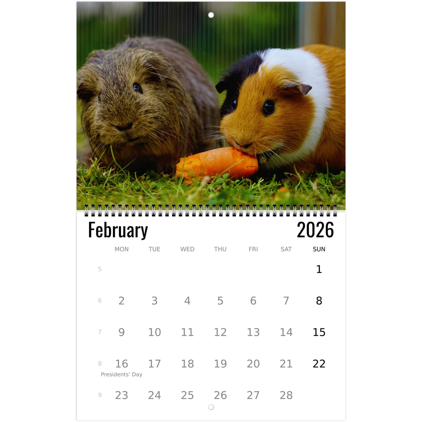 Guinea Pig Wall Calendar 2026