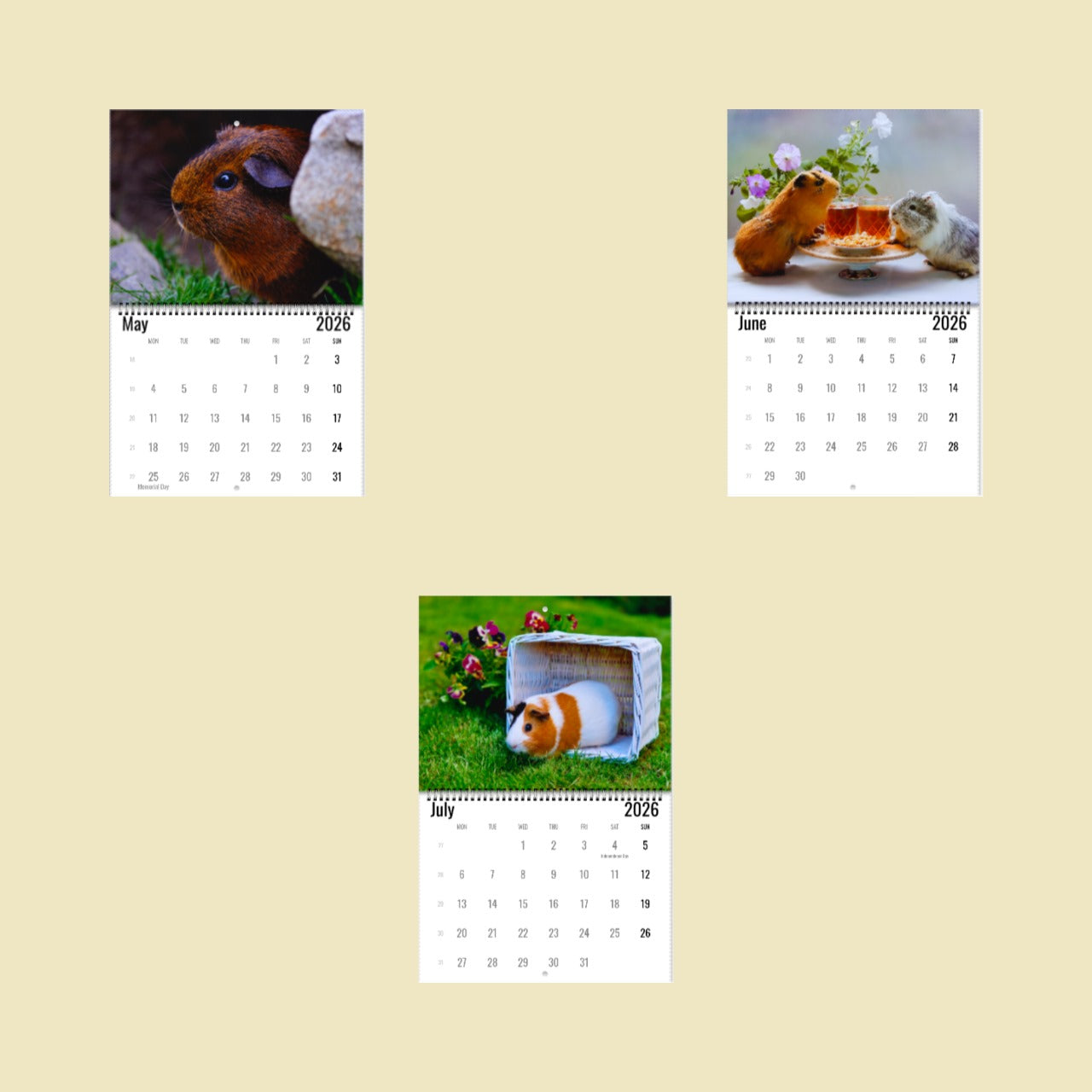 Guinea Pig Wall Calendar 2026