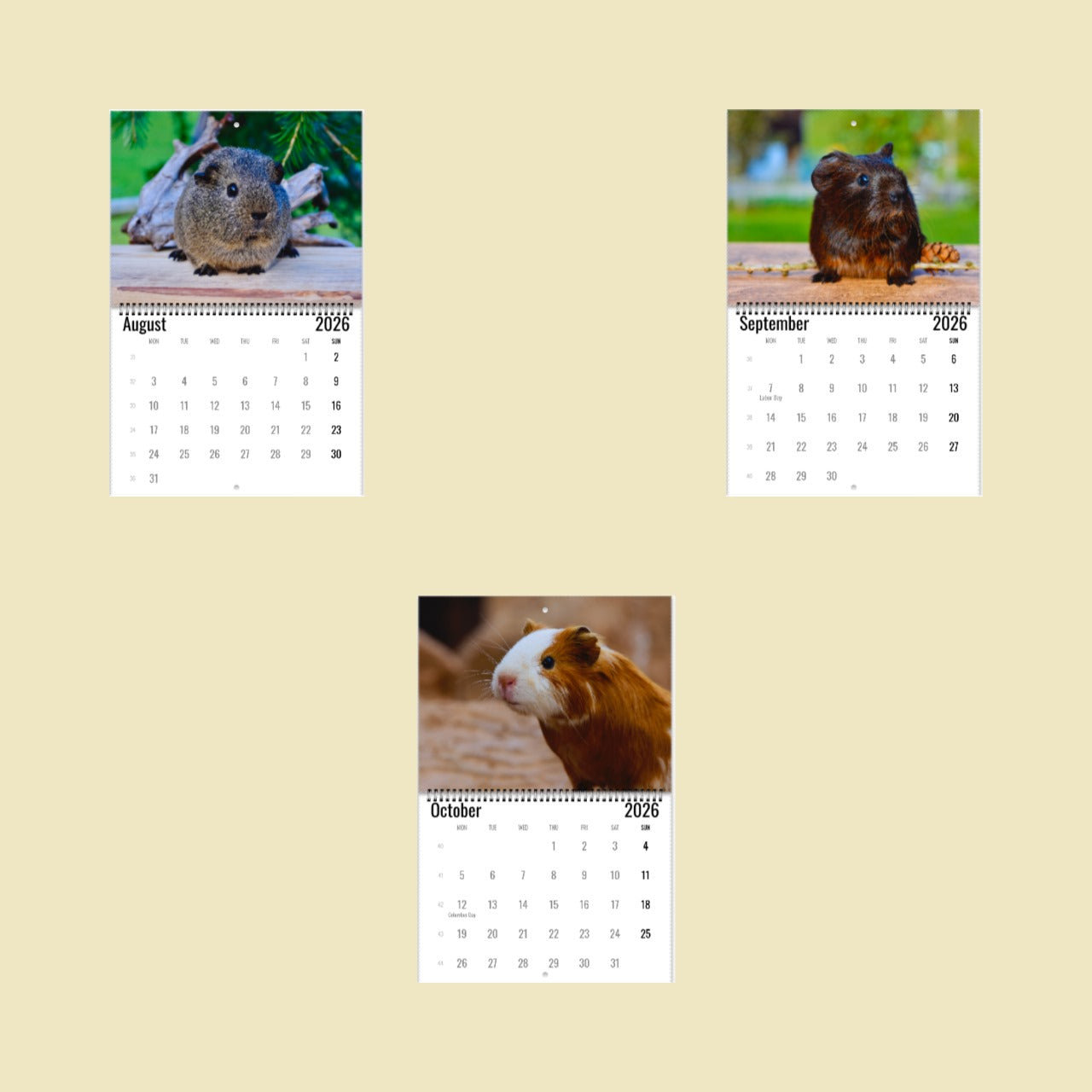 Guinea Pig Wall Calendar 2026
