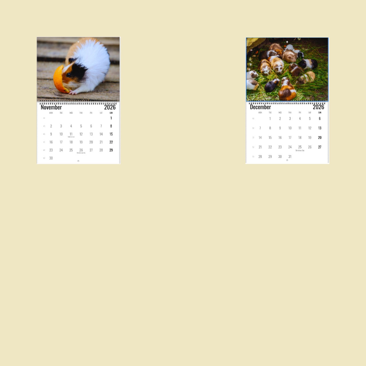 Guinea Pig Wall Calendar 2026