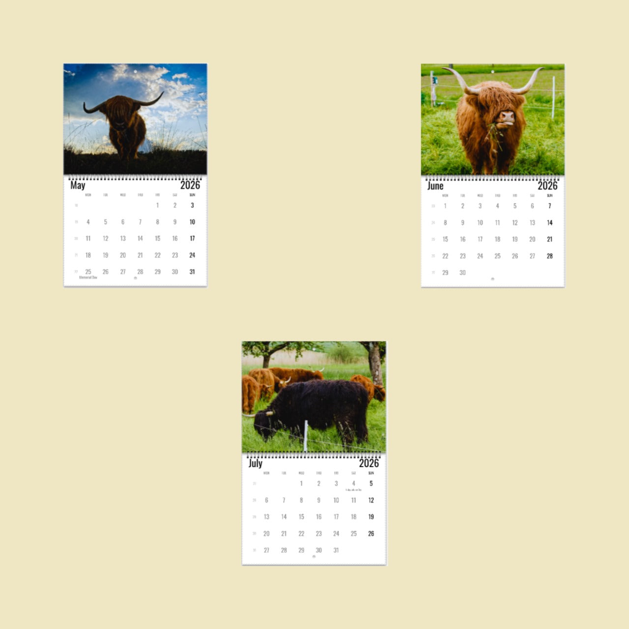 Highland Cow Wall Calendar 2026