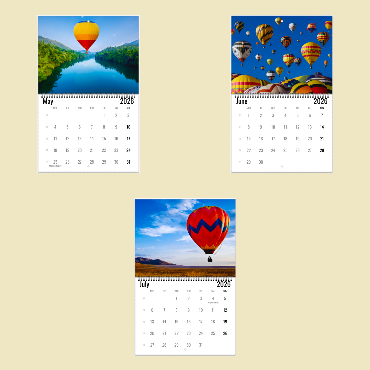 Hot Air Balloon Wall Calendar 2026