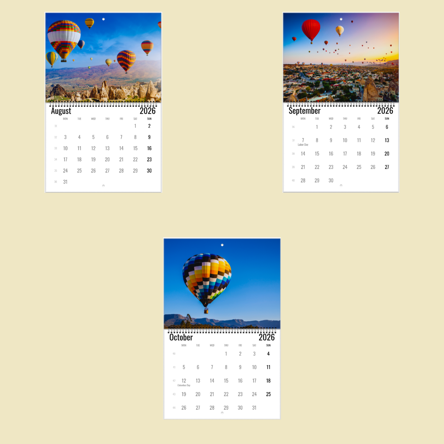 Hot Air Balloon Wall Calendar 2026