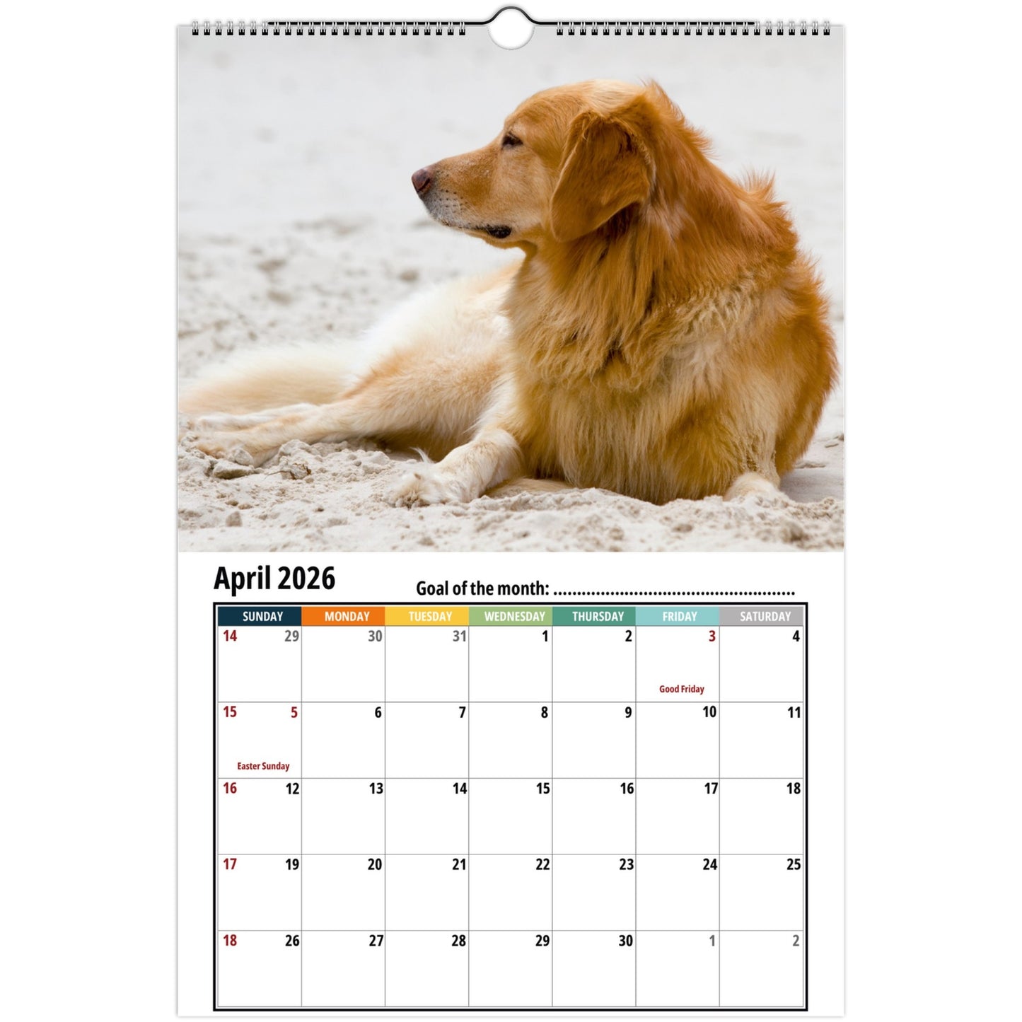 Hovawart Wall Calendar 2026 1