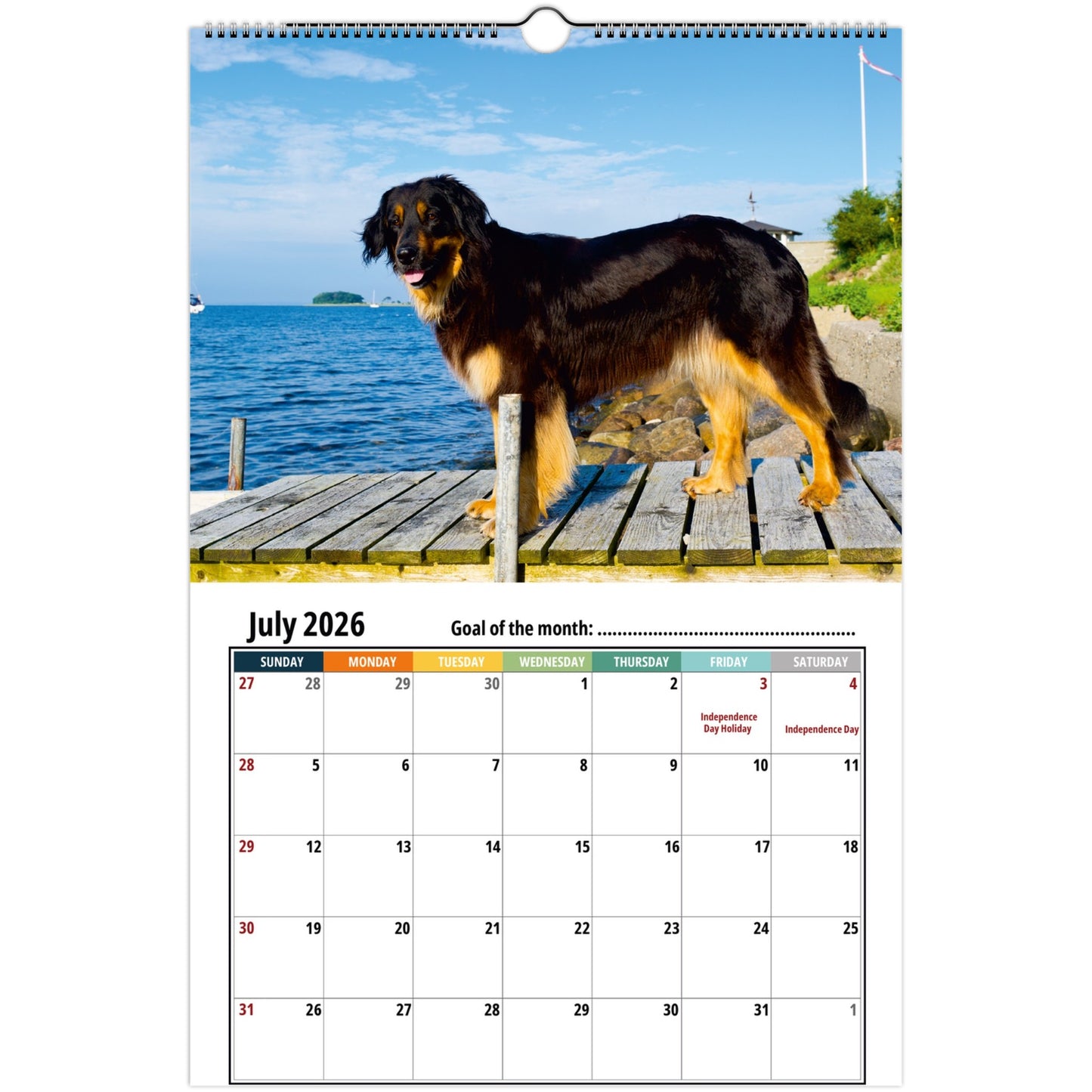 Hovawart Wall Calendar 2026 3