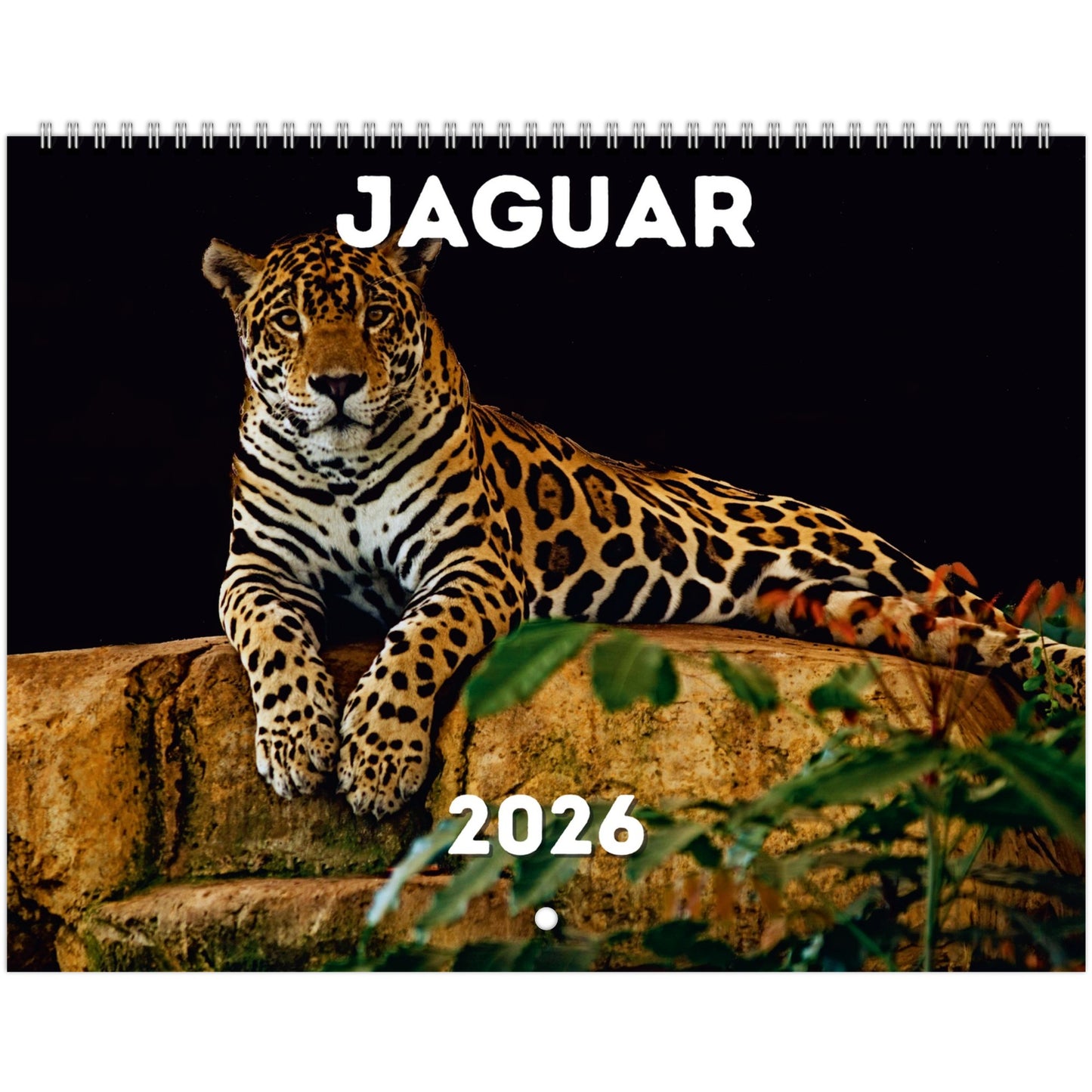 Jaguar Wall Calendar 2026