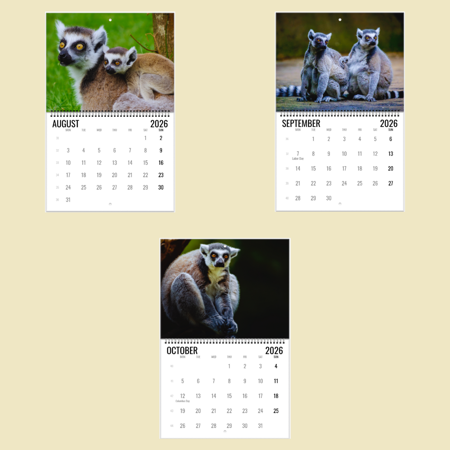 Lemur Wall Calendar 2026