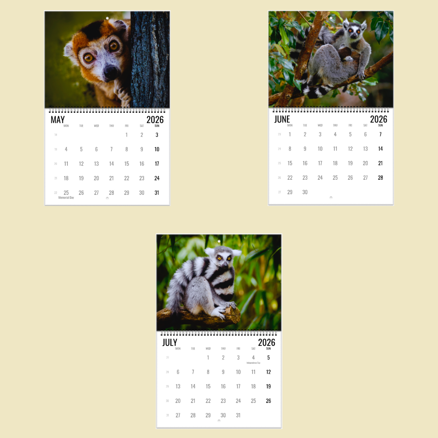 Lemur Wall Calendar 2026