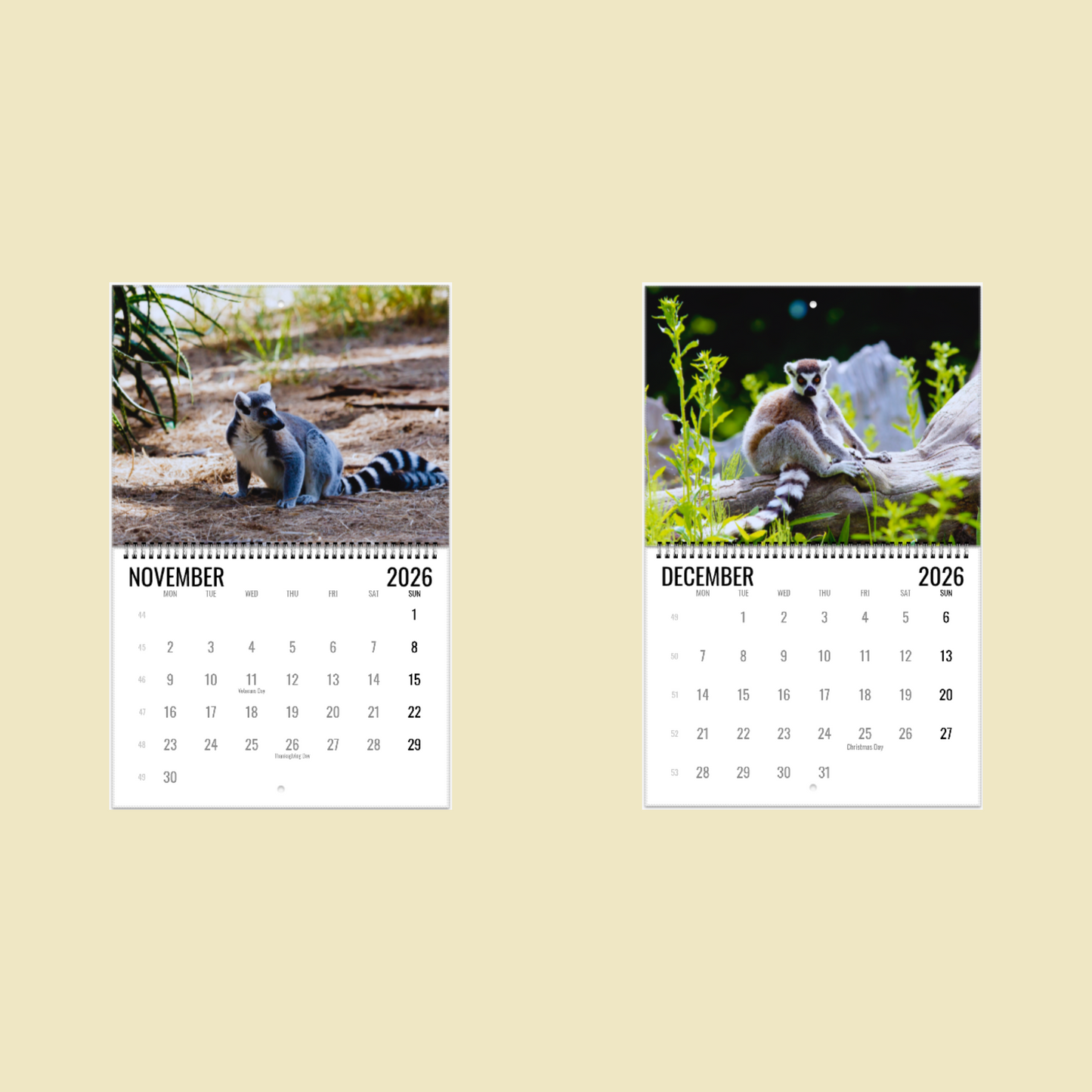 Lemur Wall Calendar 2026