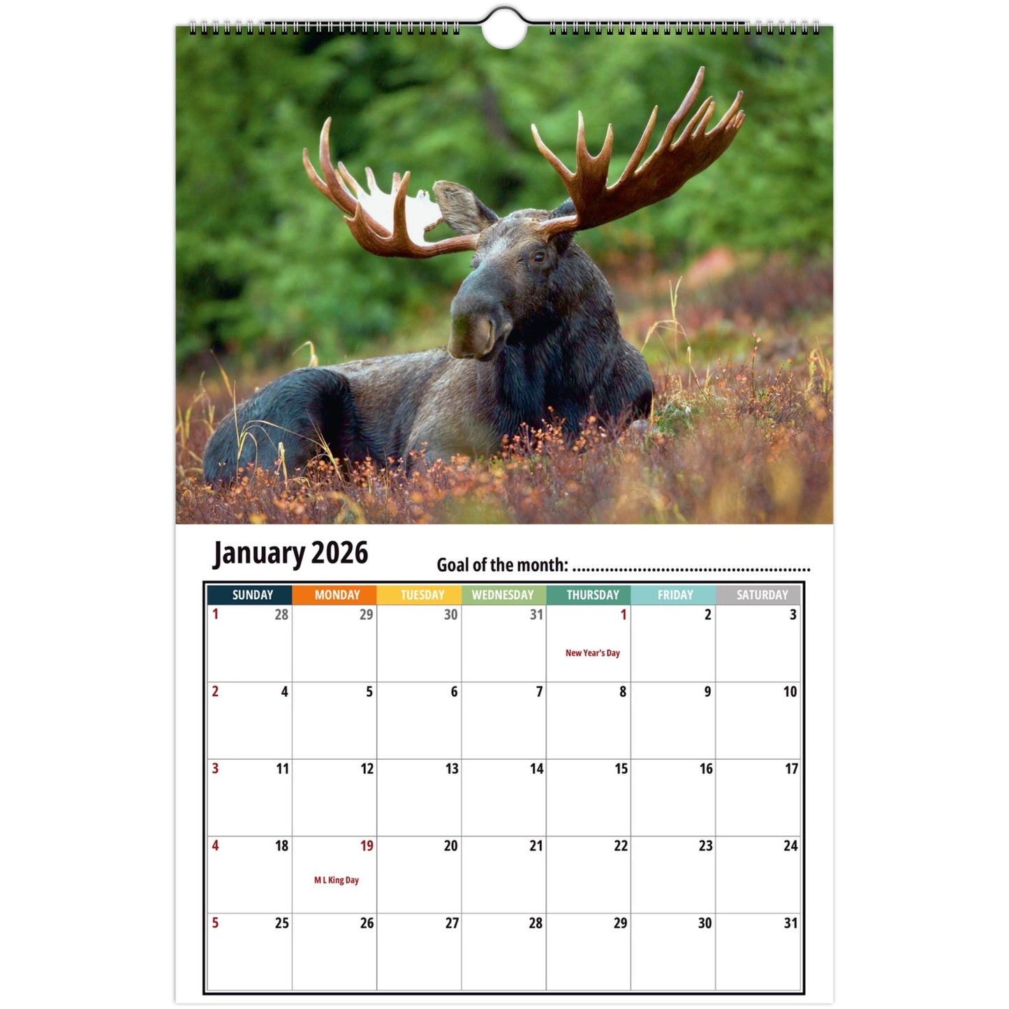 Moose Calendar 2026