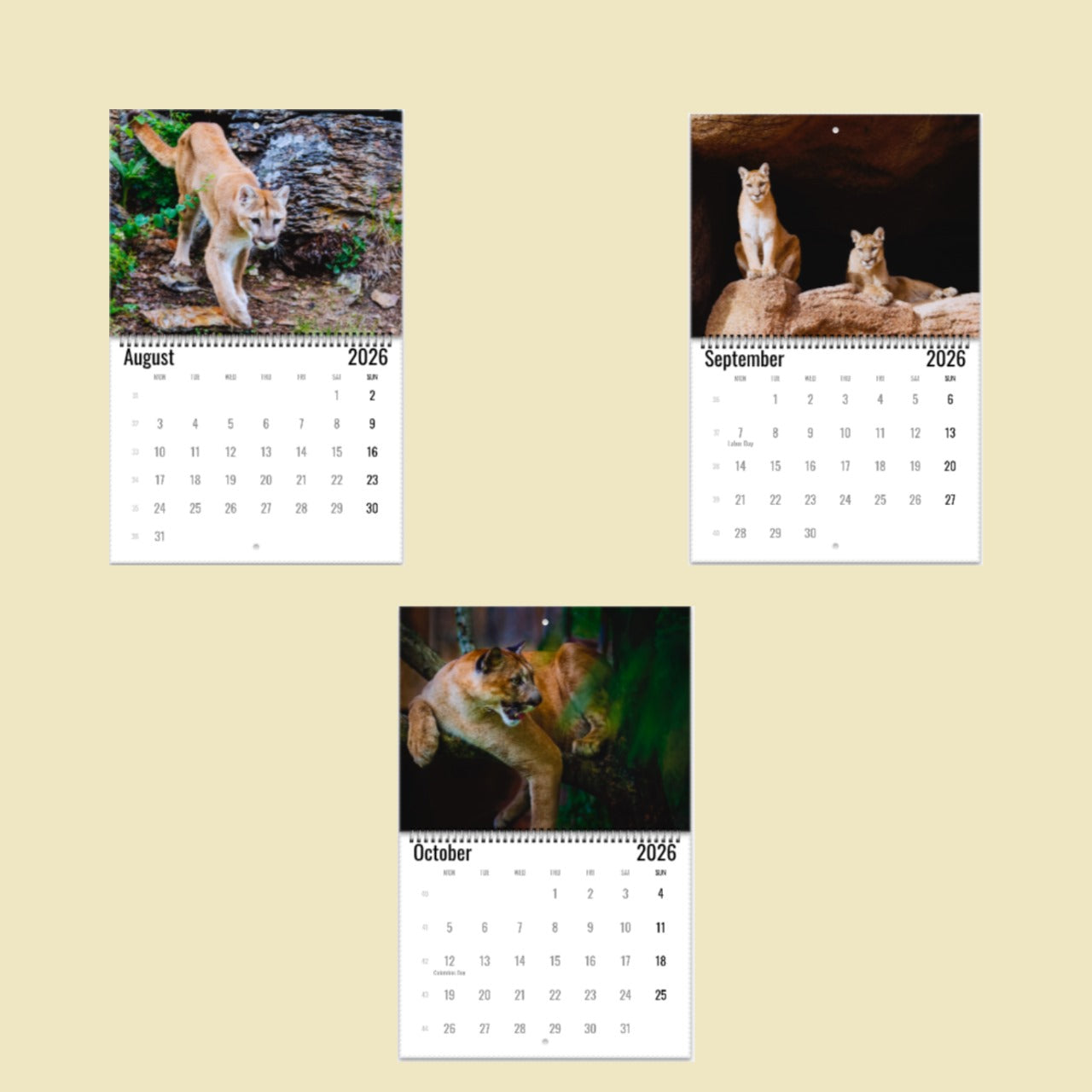 Mountain Lion Wall Calendar 2026